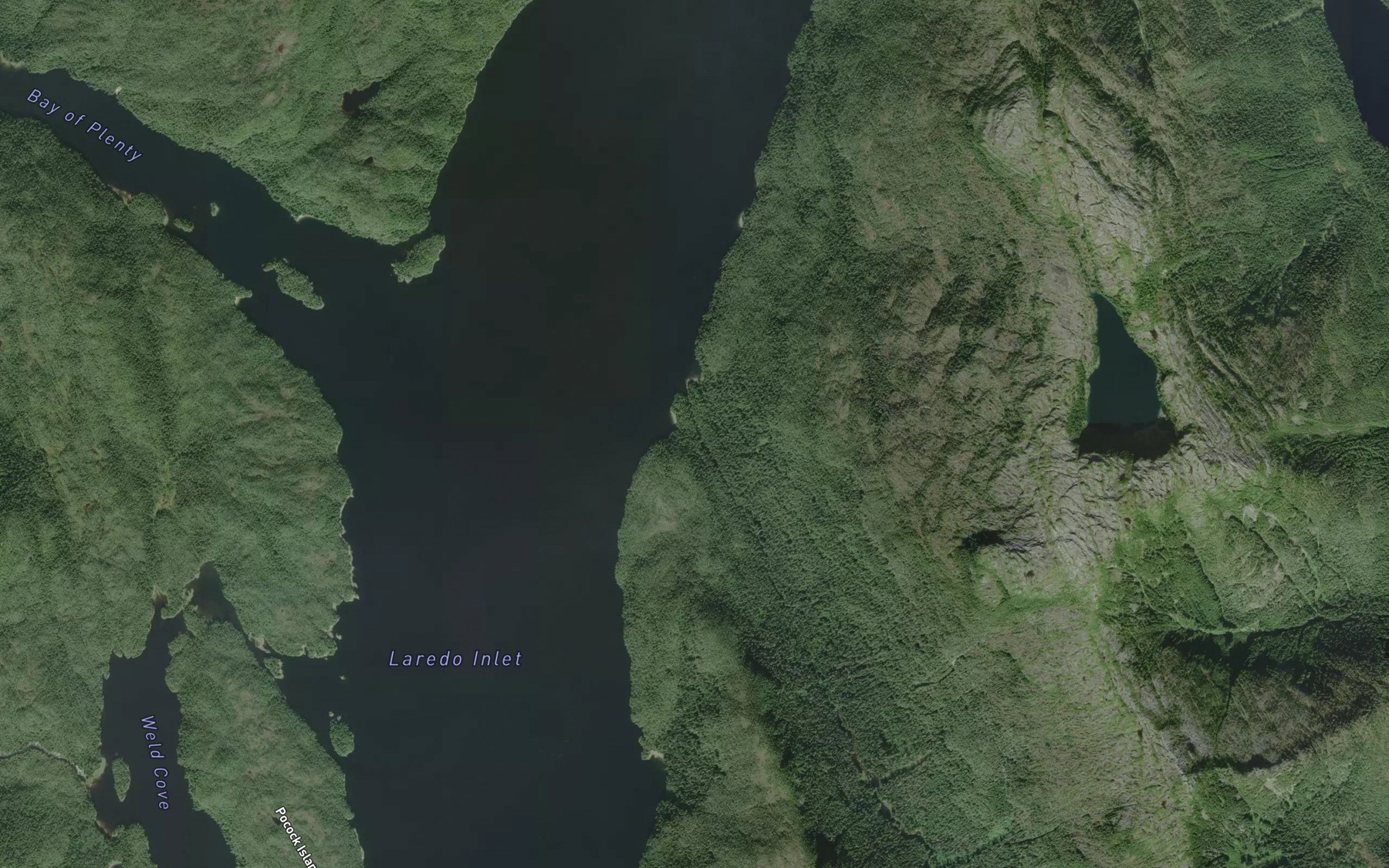 Satellite map of the Goin Creek