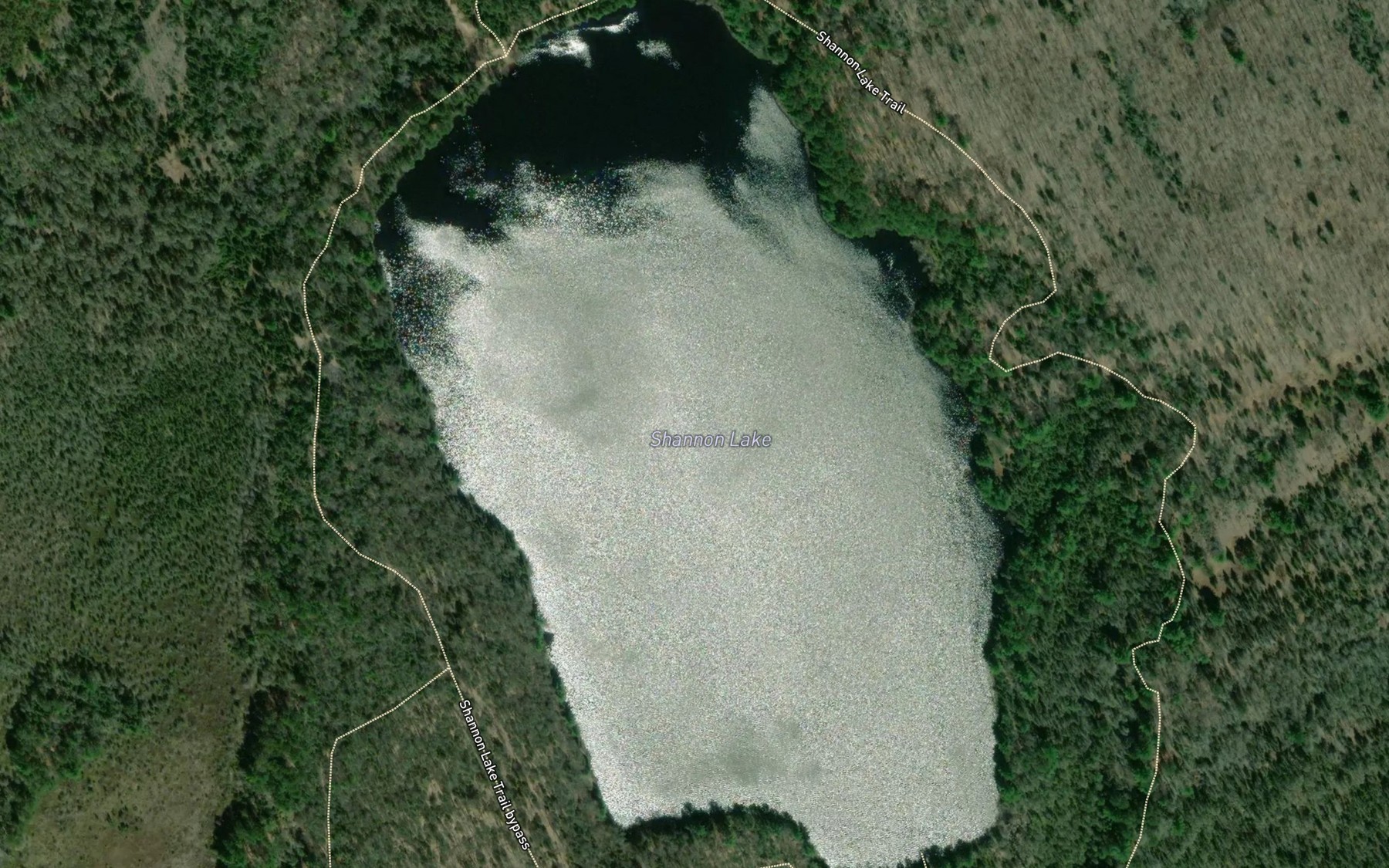 Satellite map of the Shannon Lake