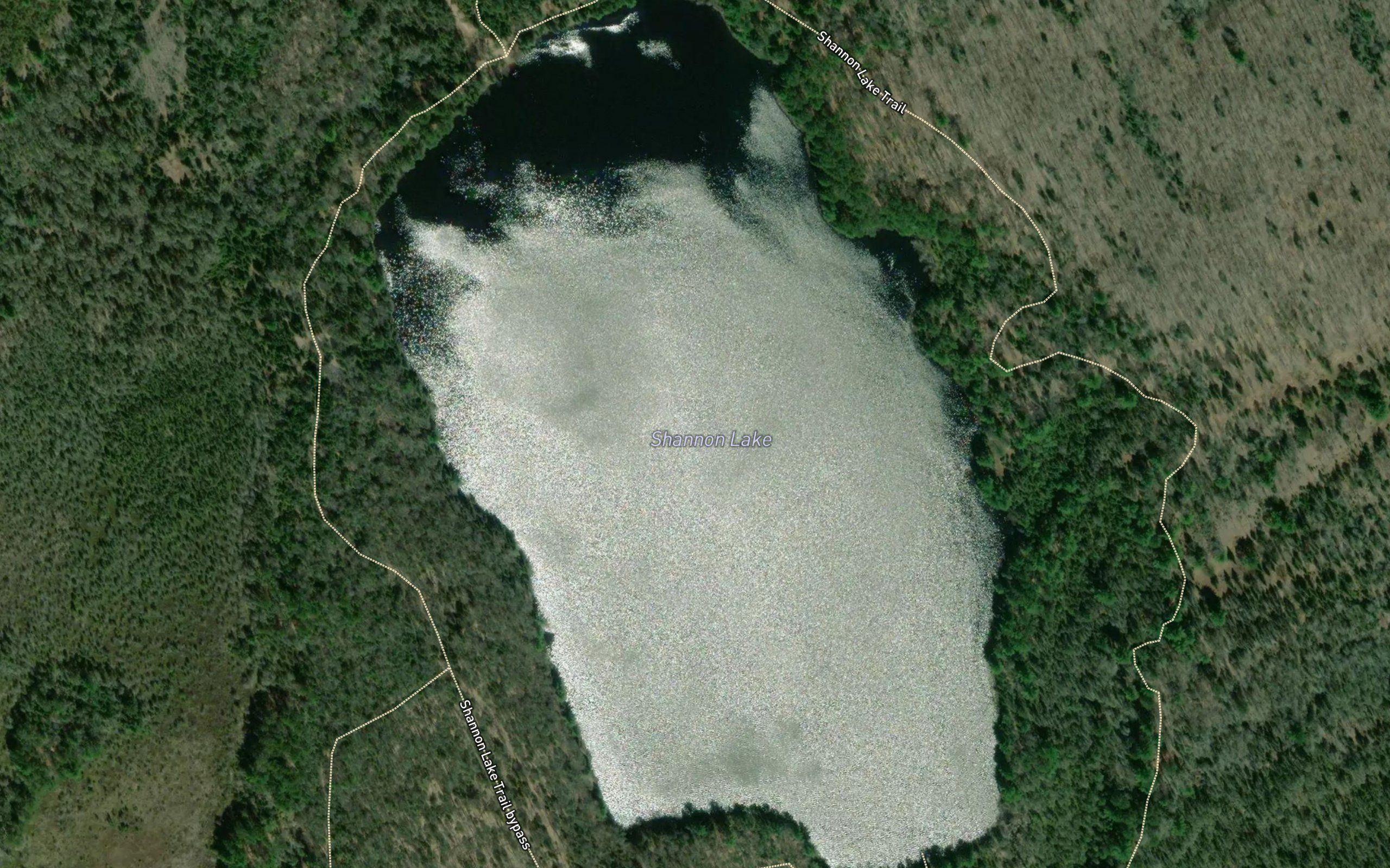 Shannon Lake