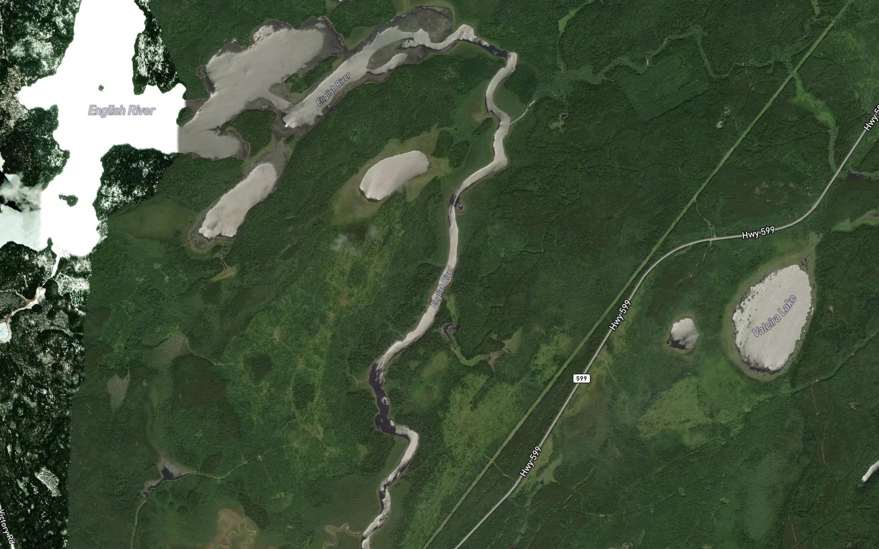 Satellite map of the Crystal River