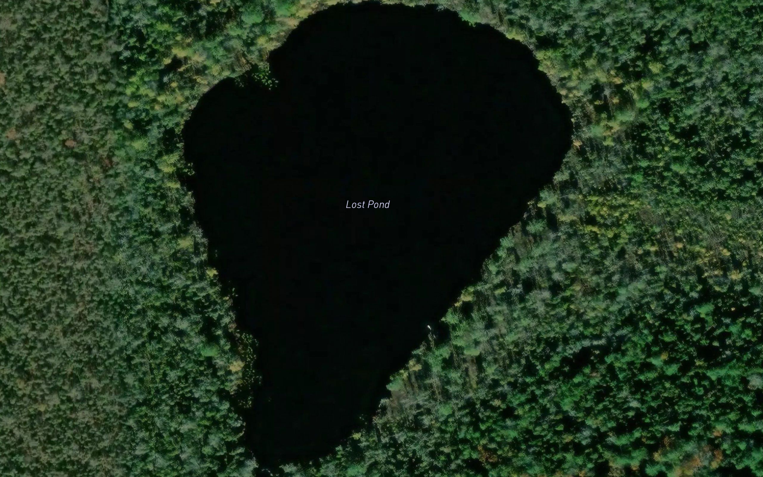 Lost Pond