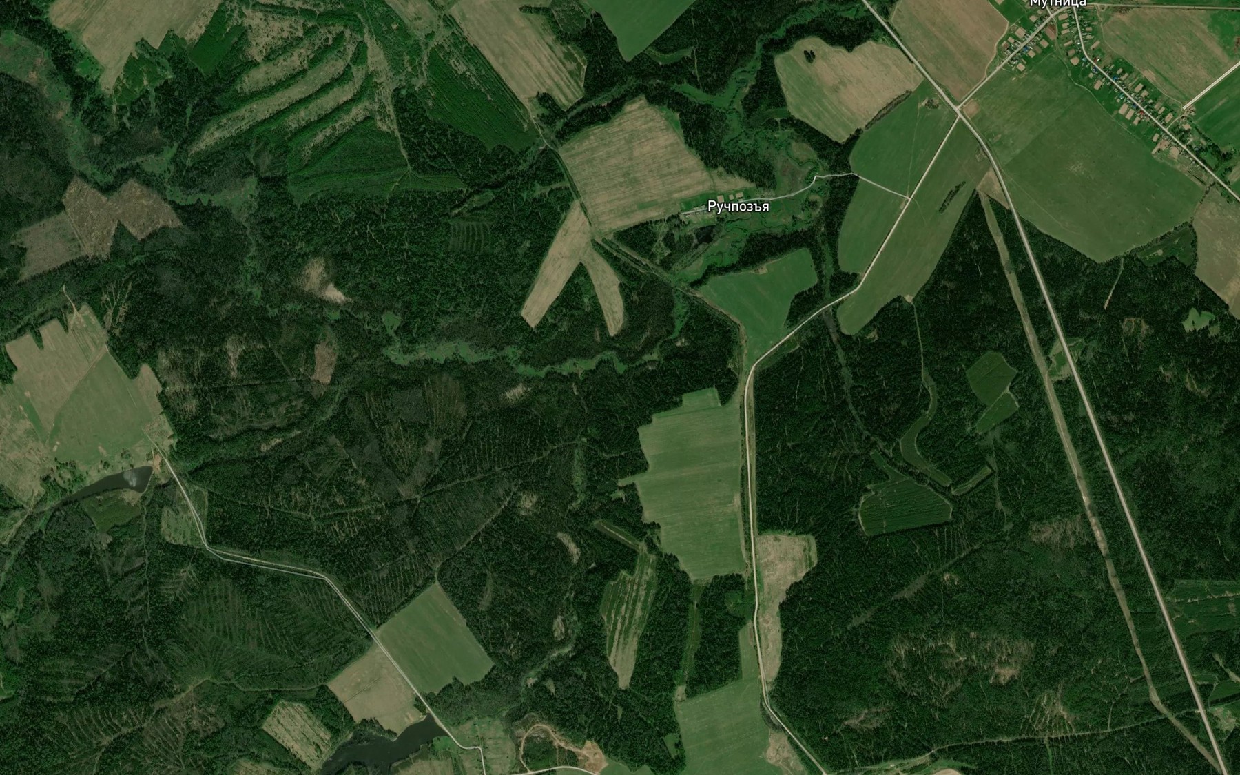Satellite map of the Sukhoy Log