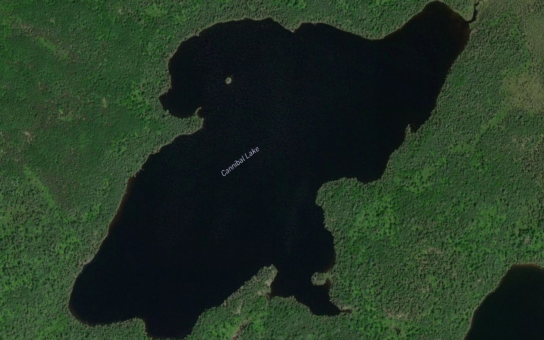 Satellite map of the Cannibal Lake