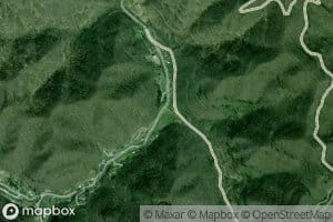 Dog Fork