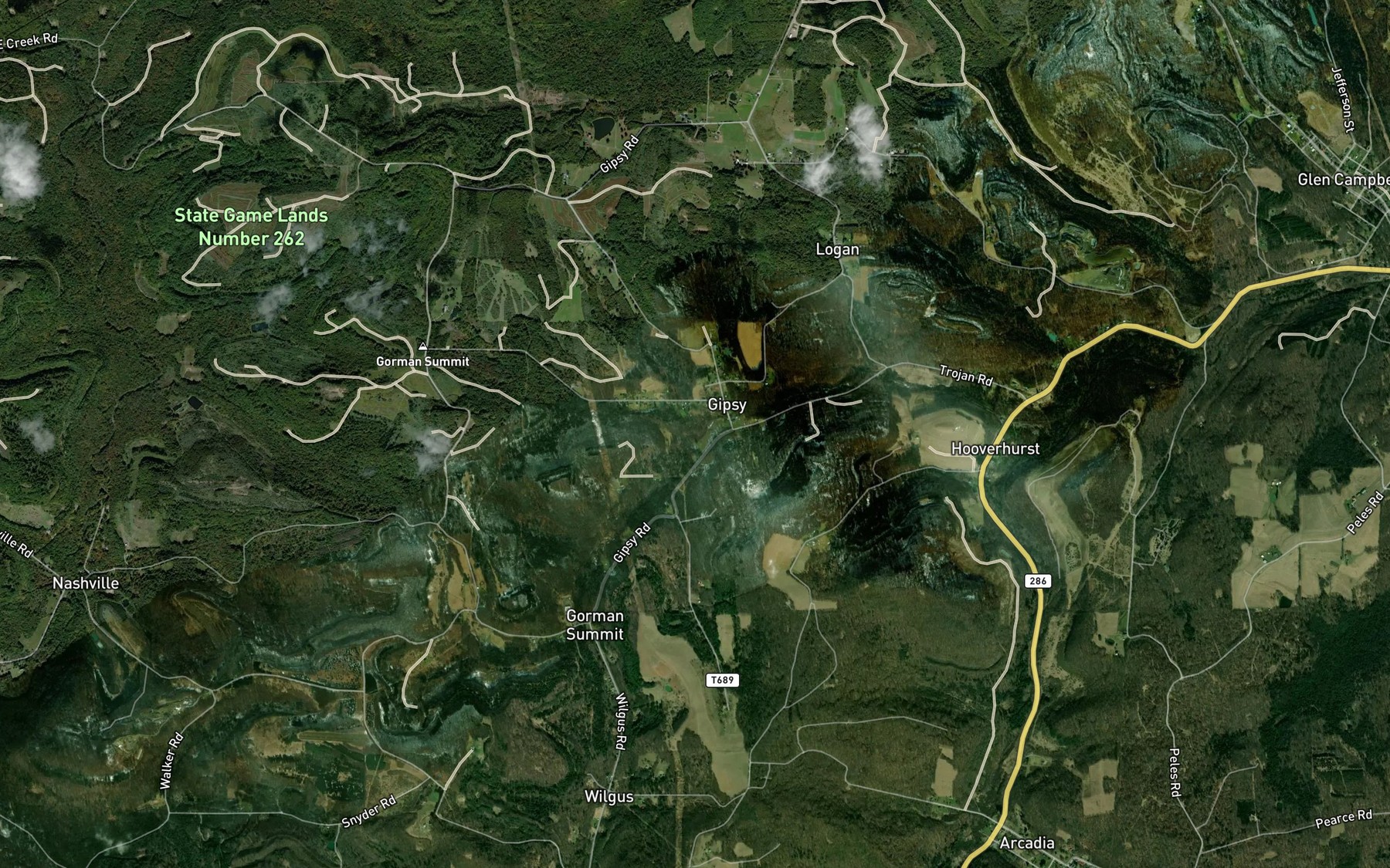 Satellite map of the South Branch Cush Creek