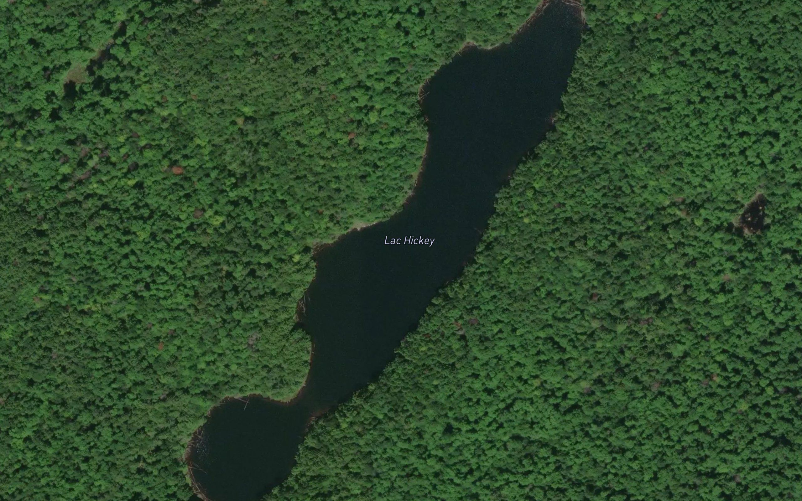 Lac Hickey