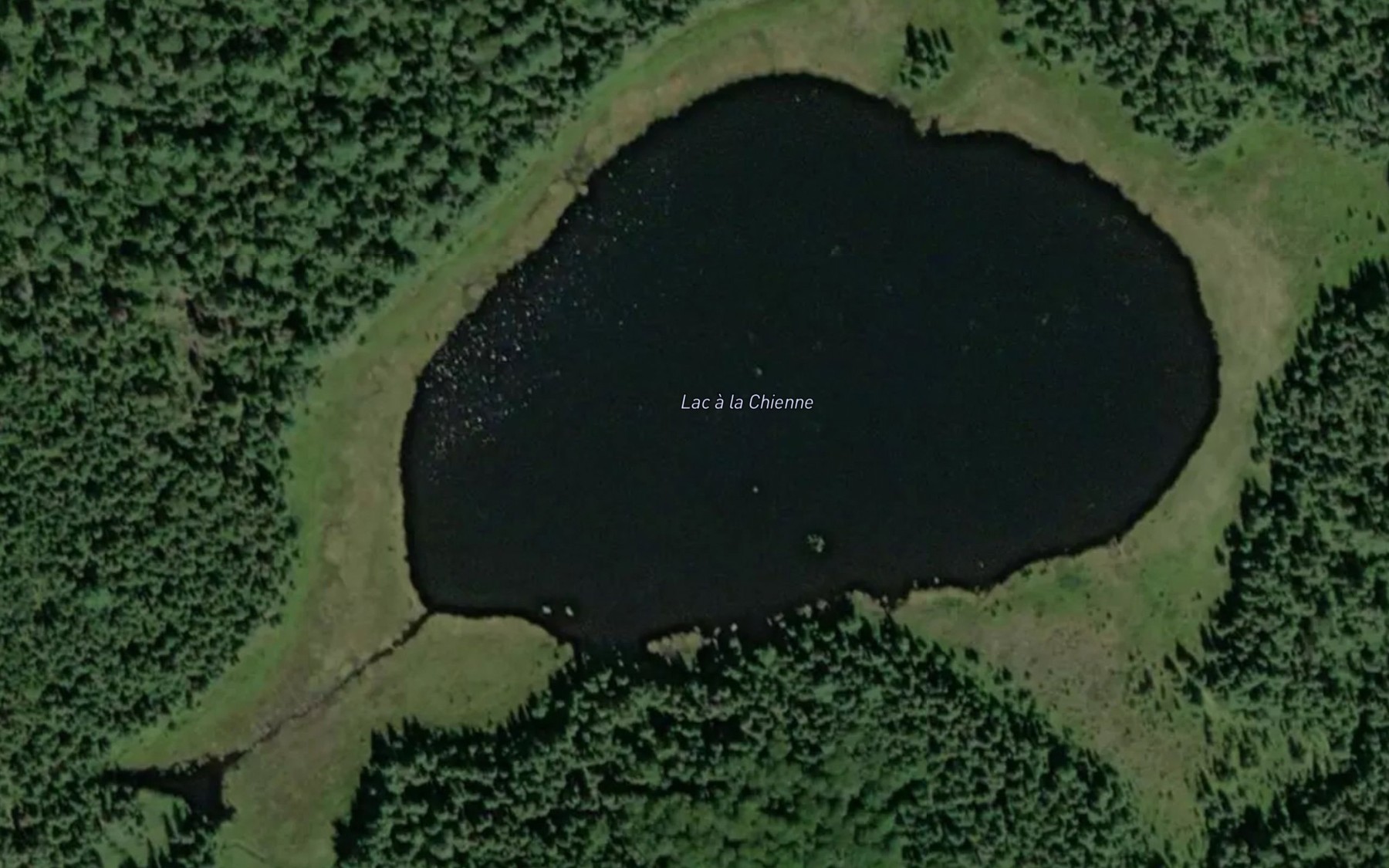 Satellite map of the Lac a la Chienne