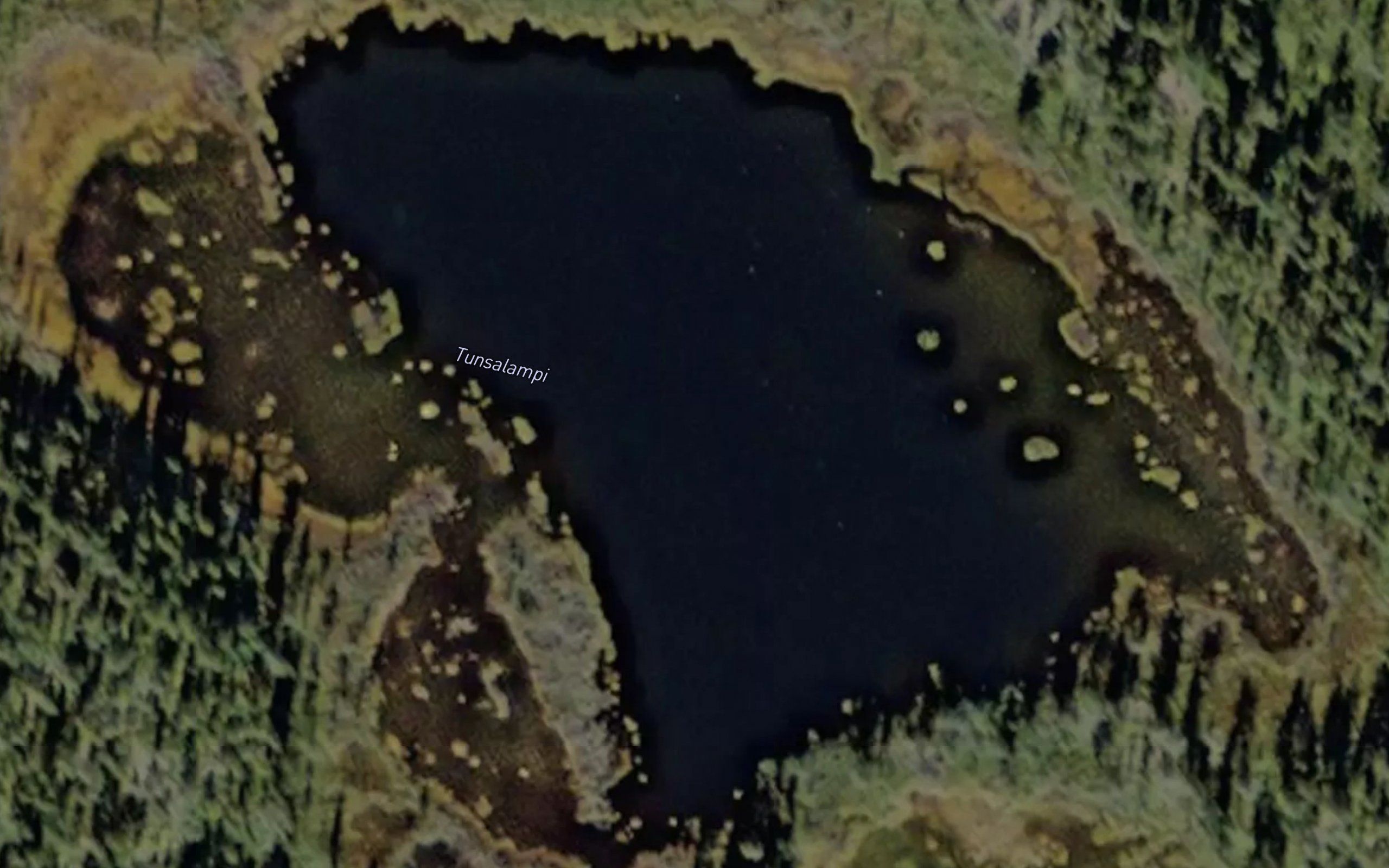 Tuntsanlampi