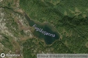 Fuglastjonna
