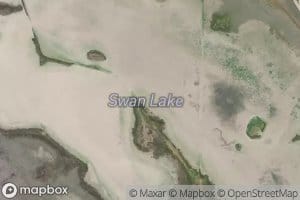 Swan Lake