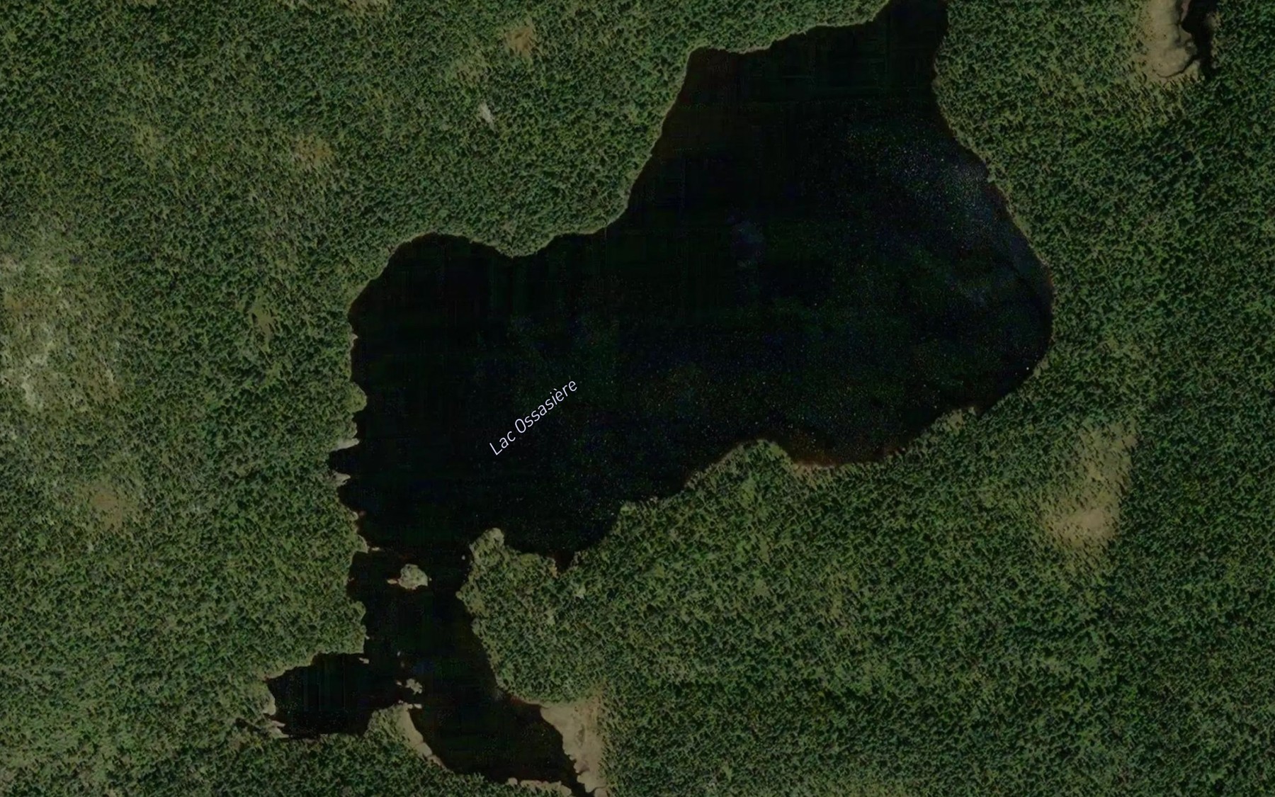 Satellite map of the Lac Ossasiere
