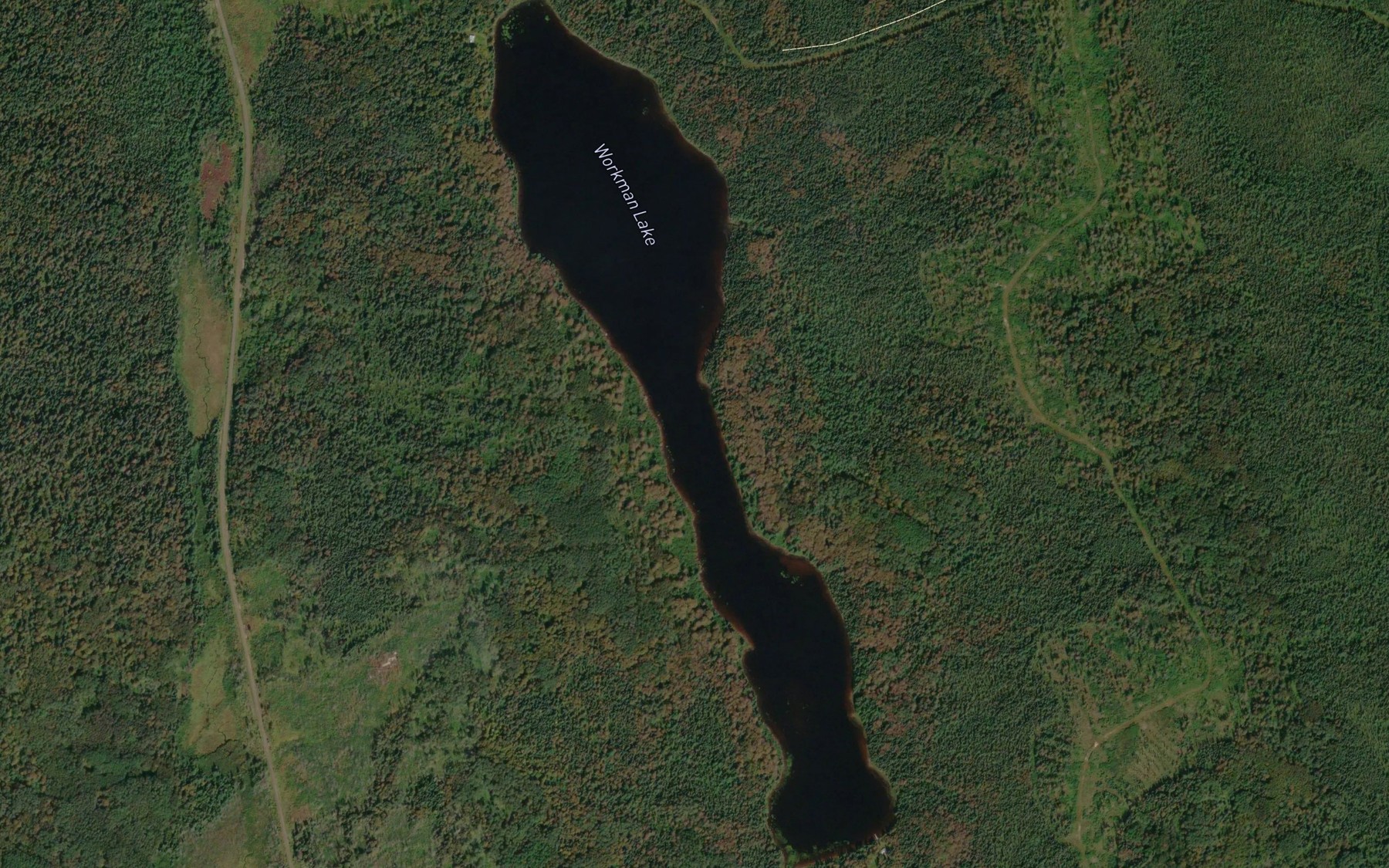 Satellite map of the Workman Lake