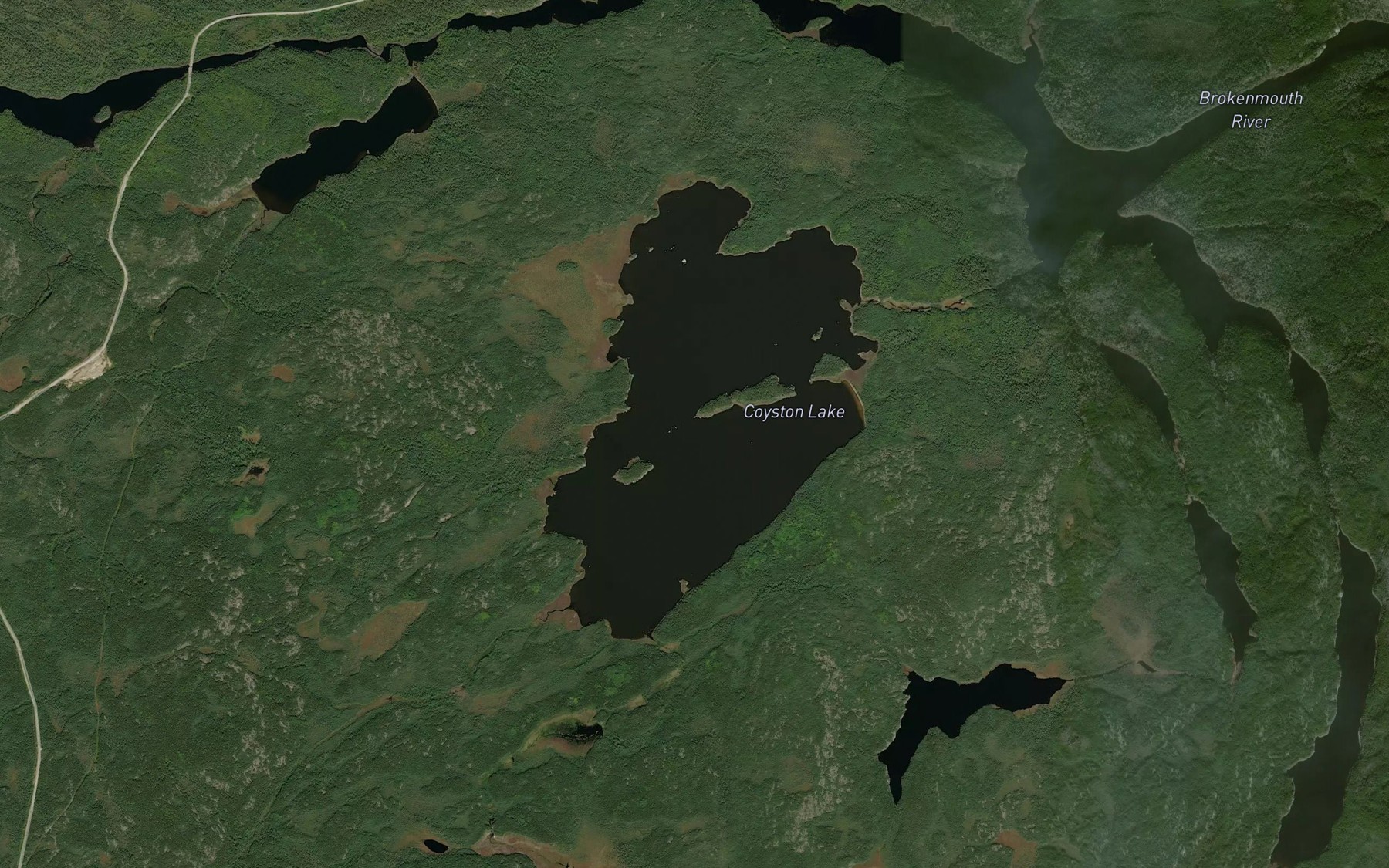 Satellite map of the Coyston Lake