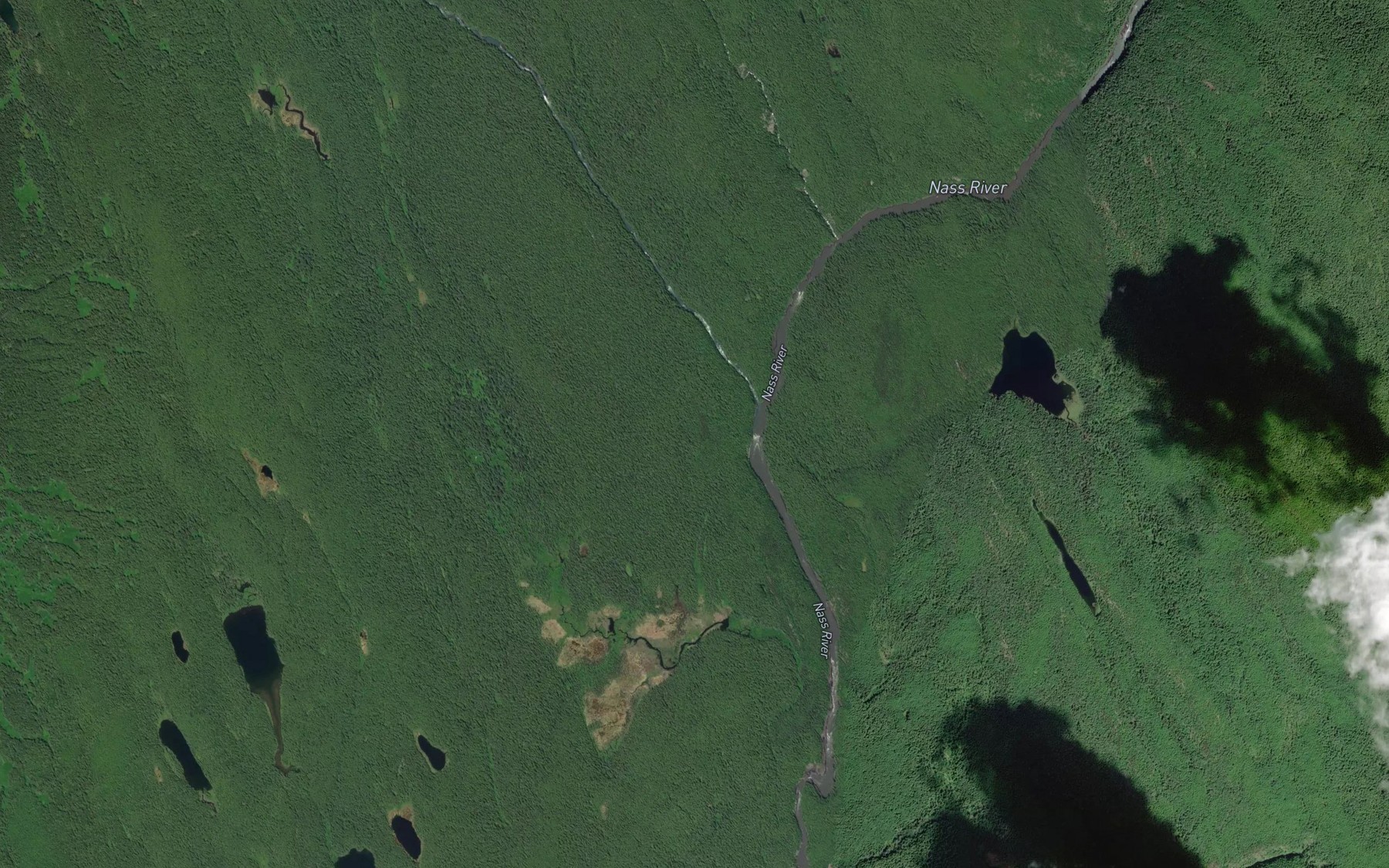 Satellite map of the Taylor River