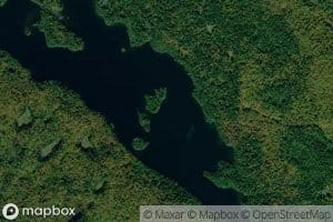 Vireo Lake