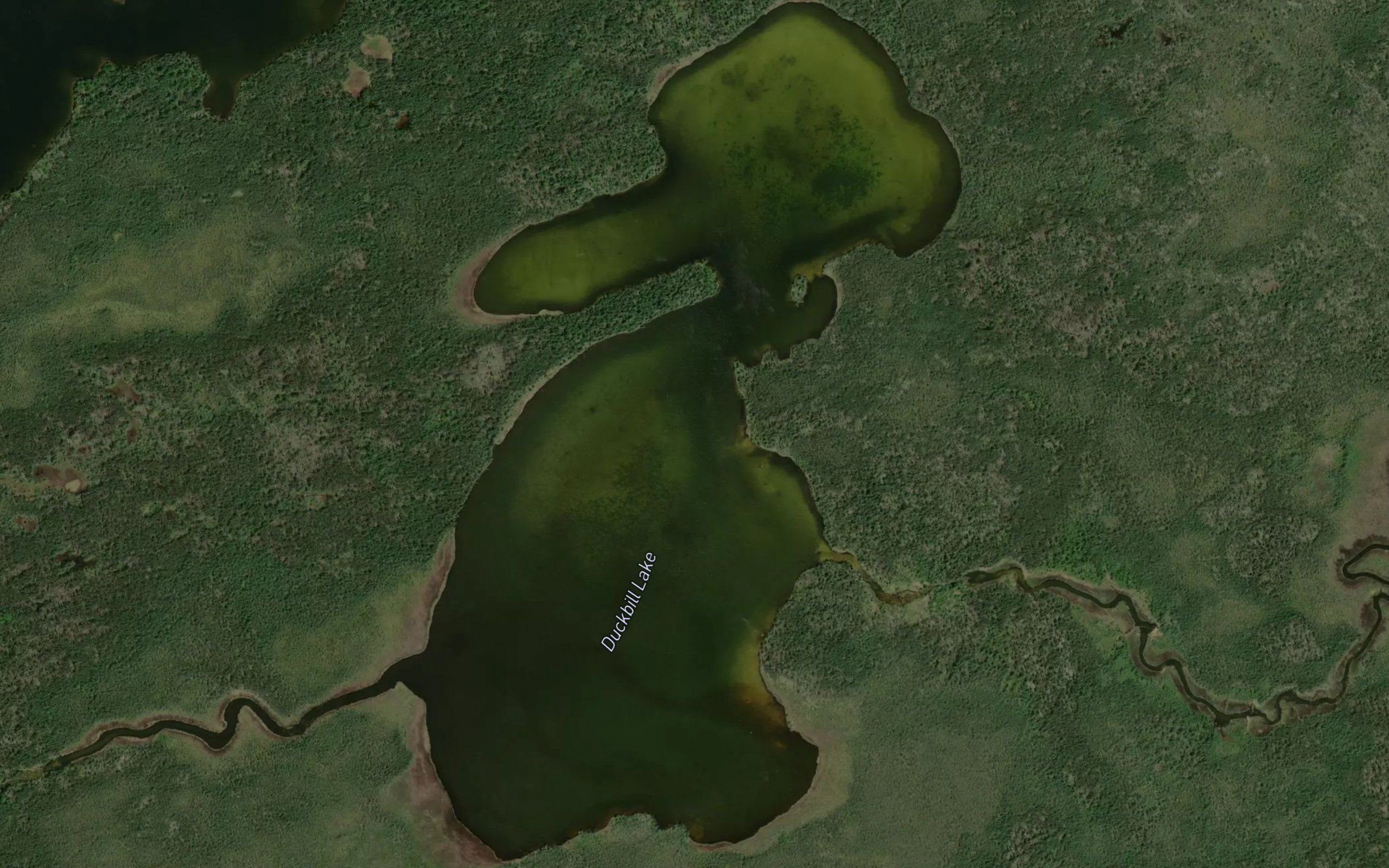 Duckbill Lake