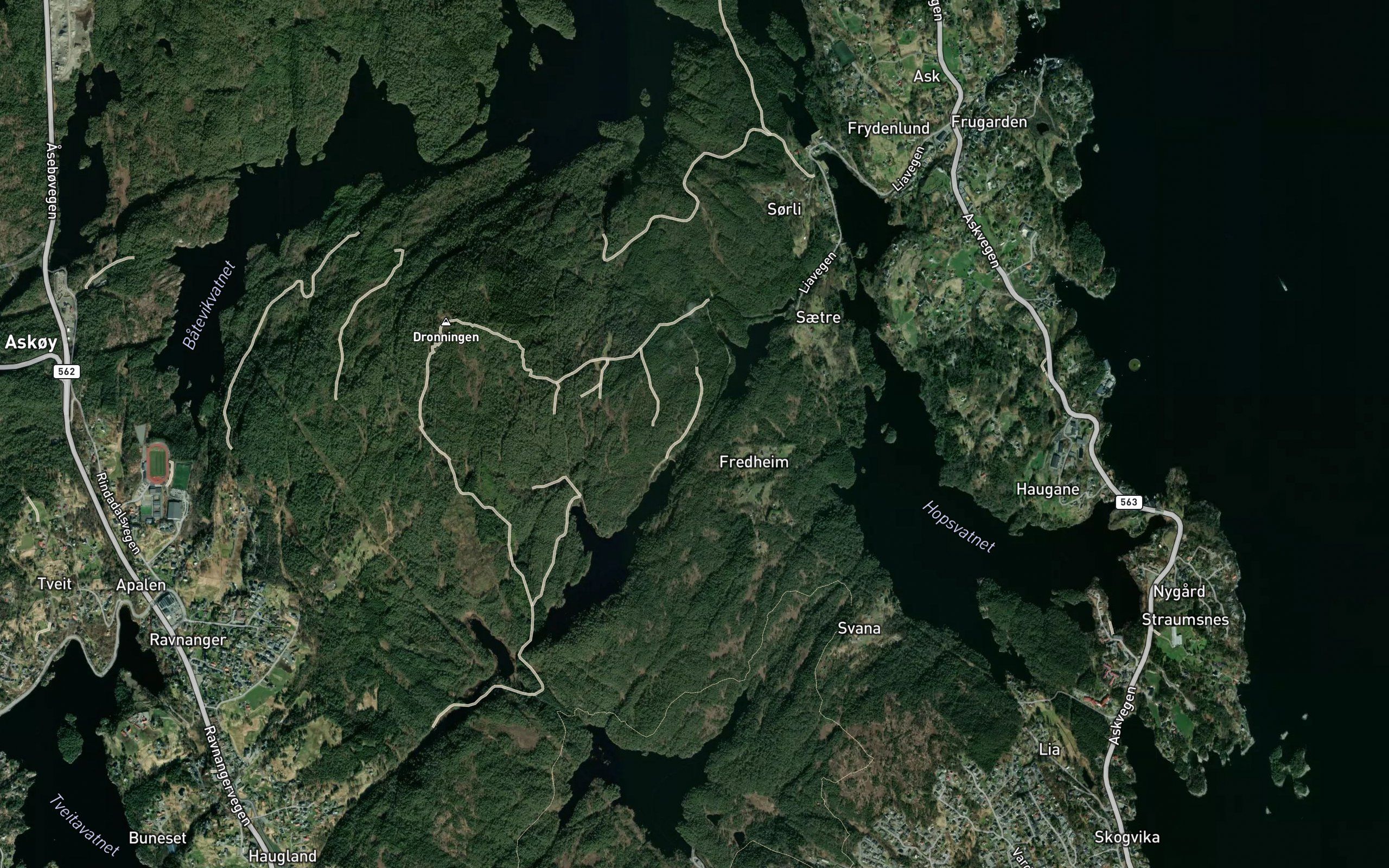 Fjellvasselvi