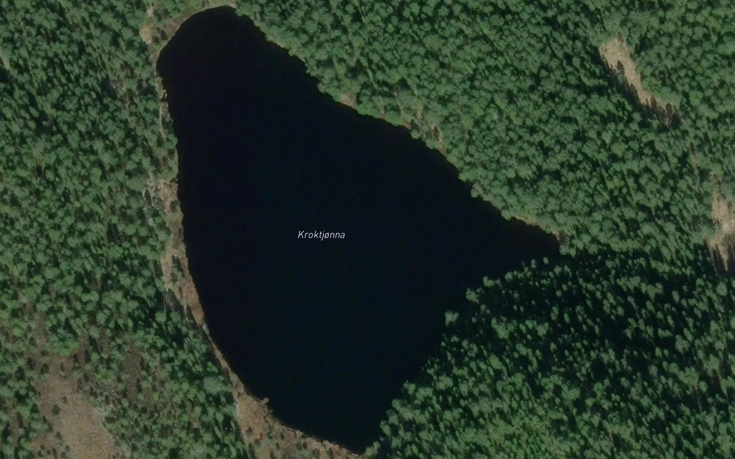 Kroktjorna
