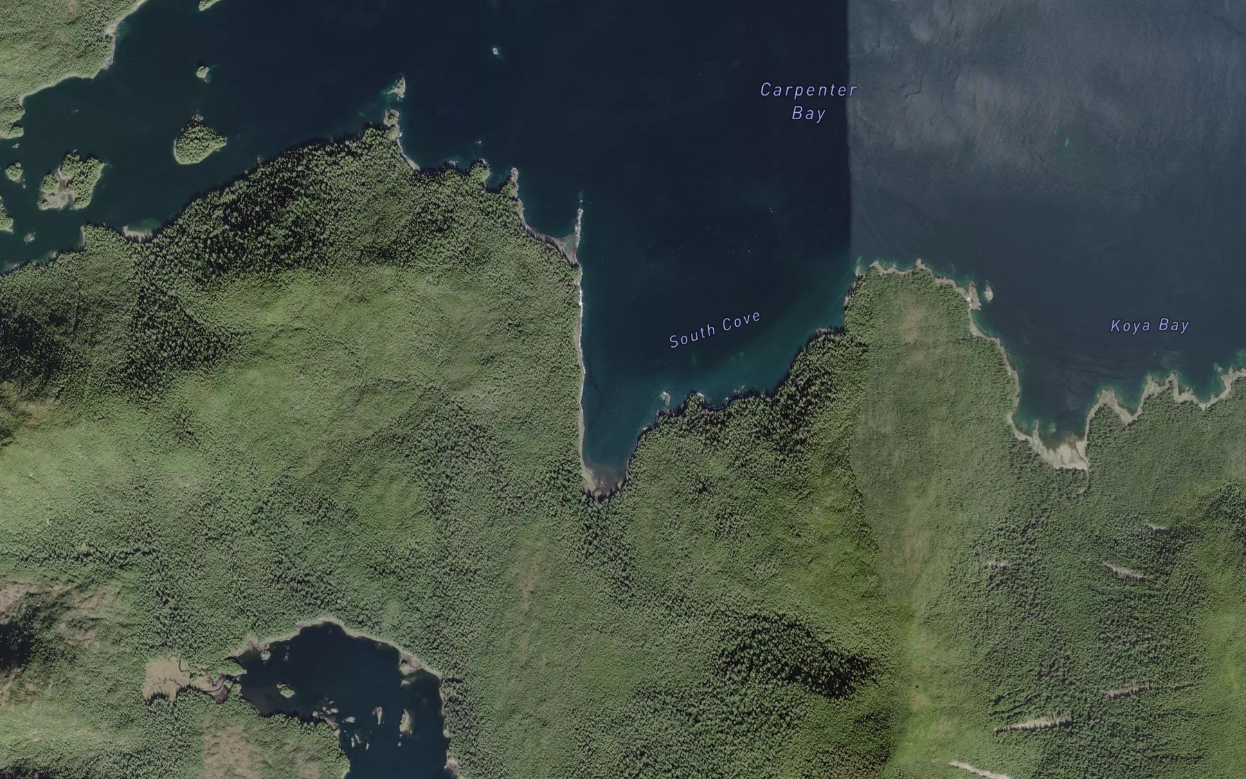 Satellite map of the South Cove