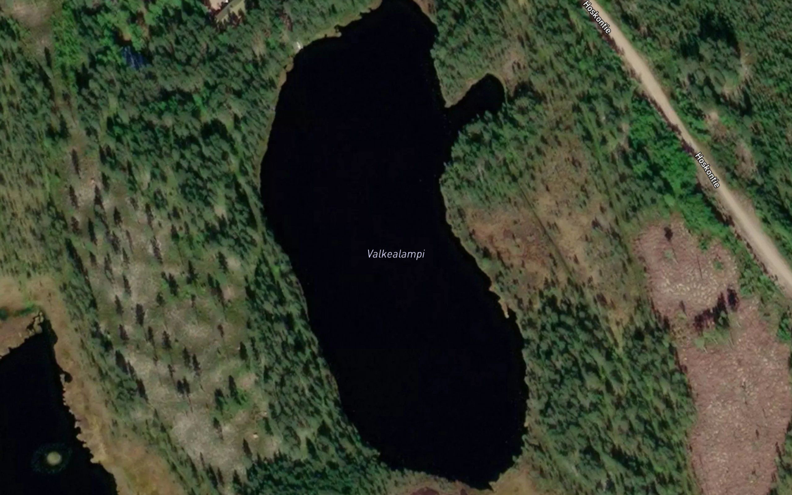 Valkeatlammit
