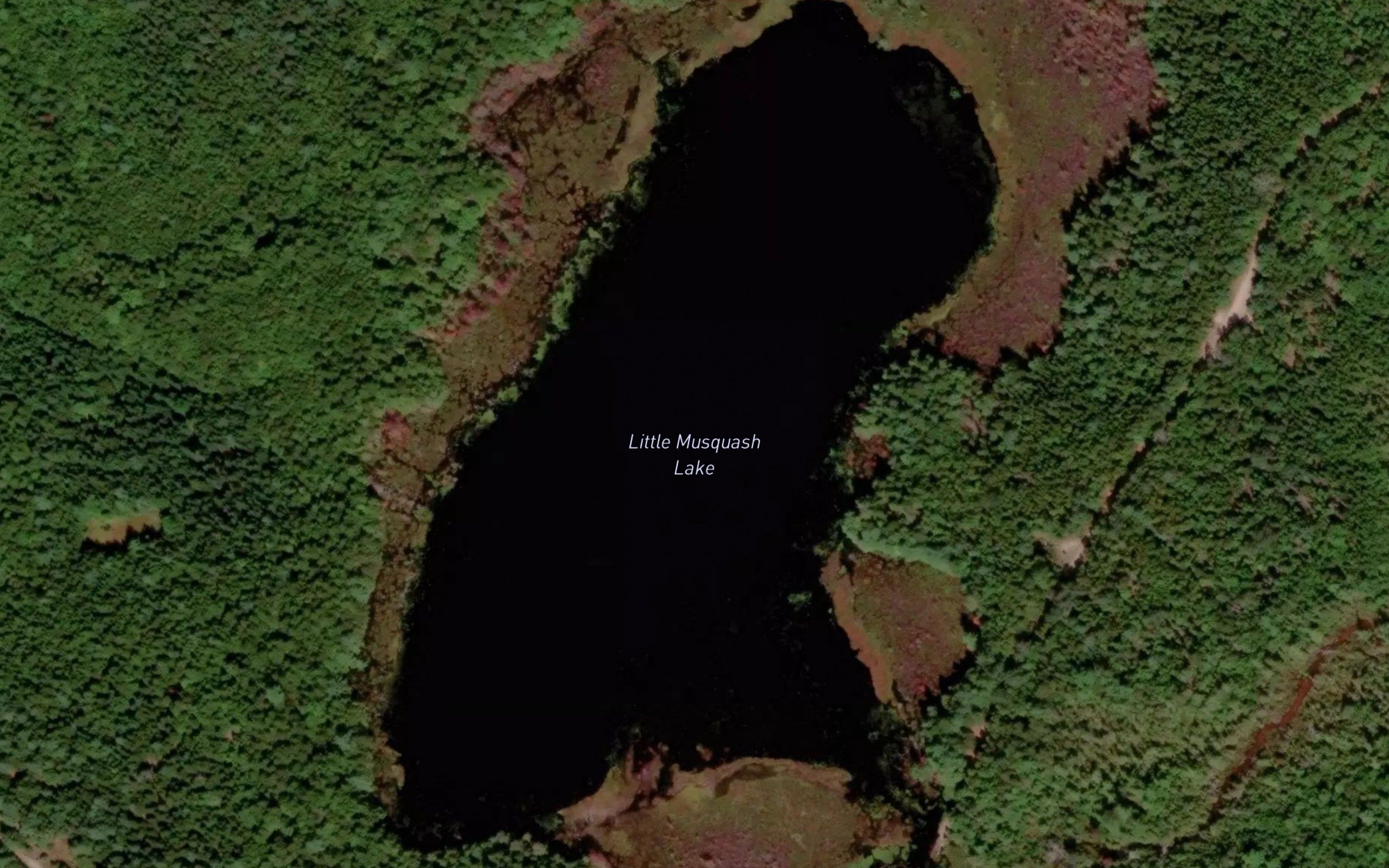 Little Musquash Lake