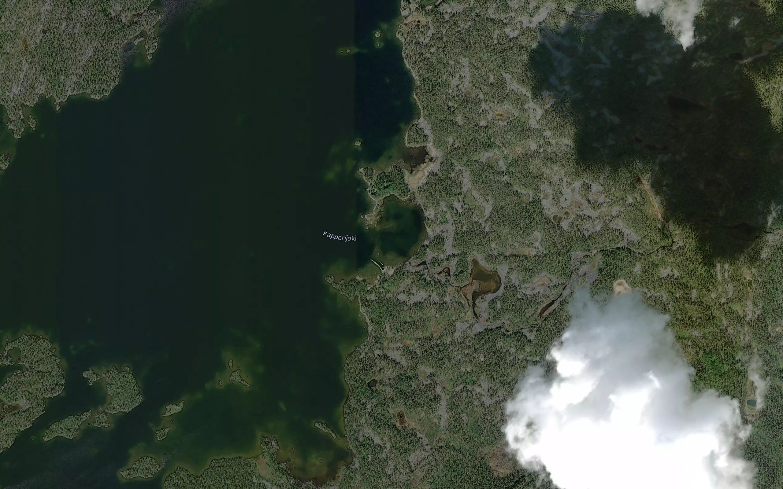 Selgiluohta
