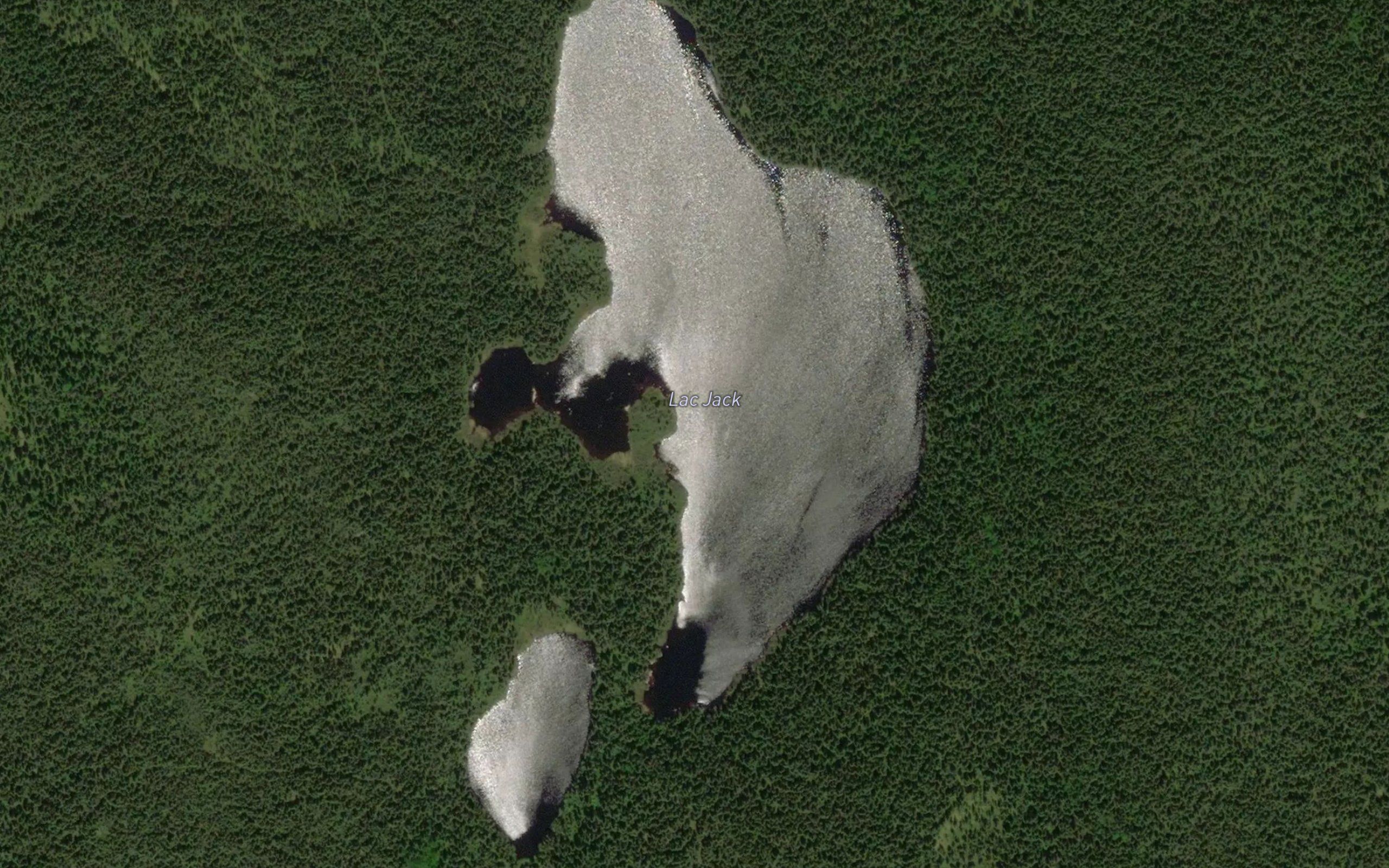 Lac Jack