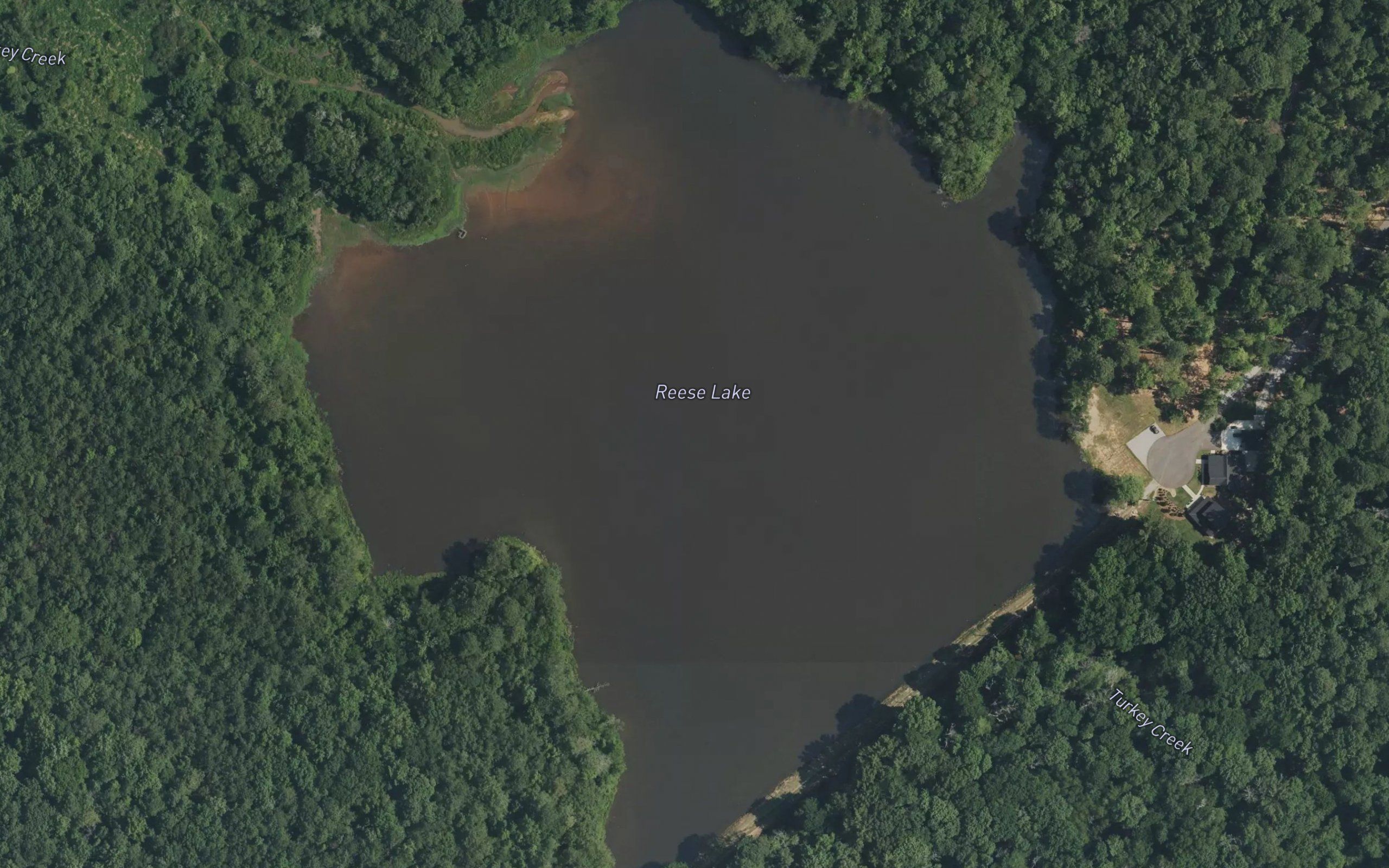 Reese Lake