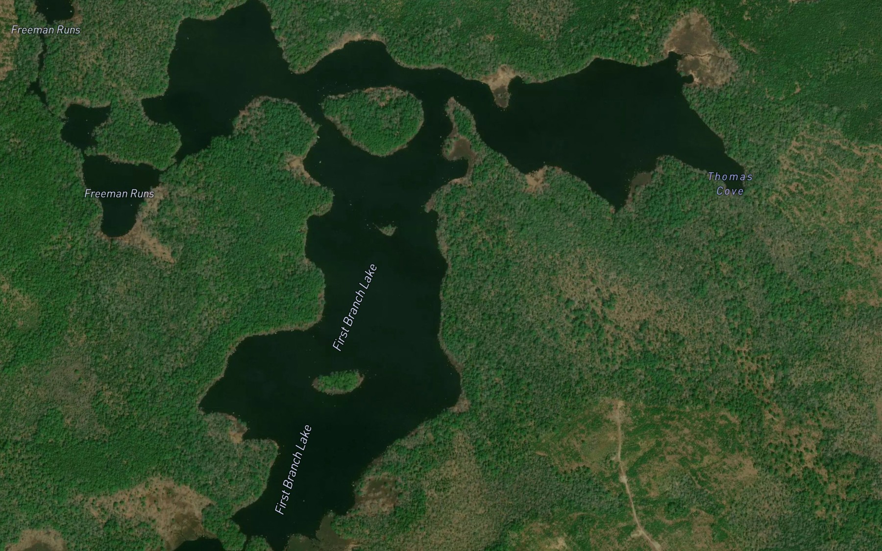 Satellite map of the First Branch Lake
