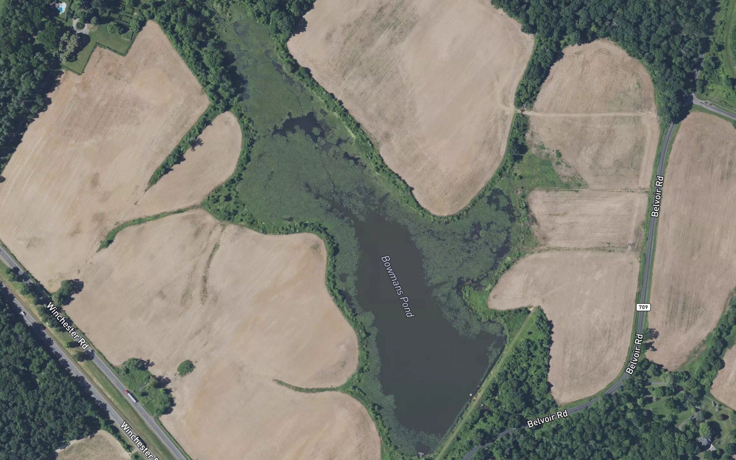 Bowmans Pond