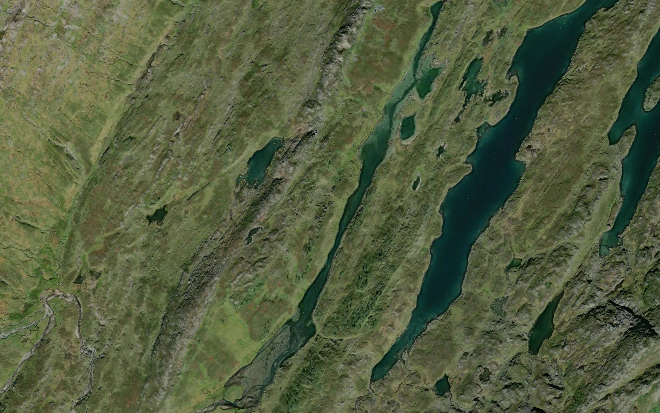 Smaltjorna