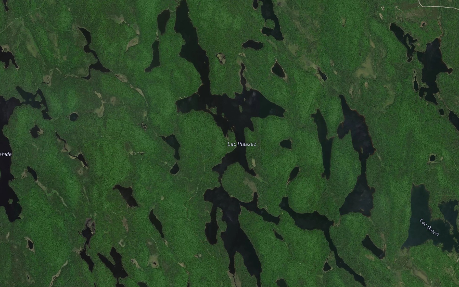 Satellite map of the Lac Plassez