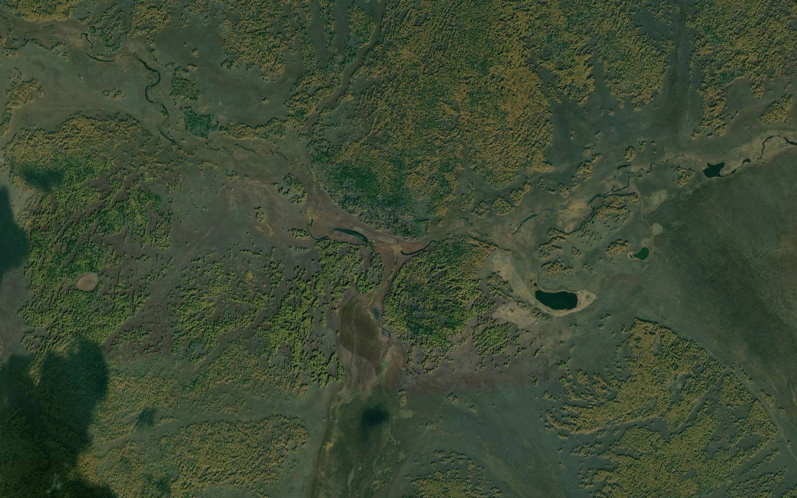 Tala