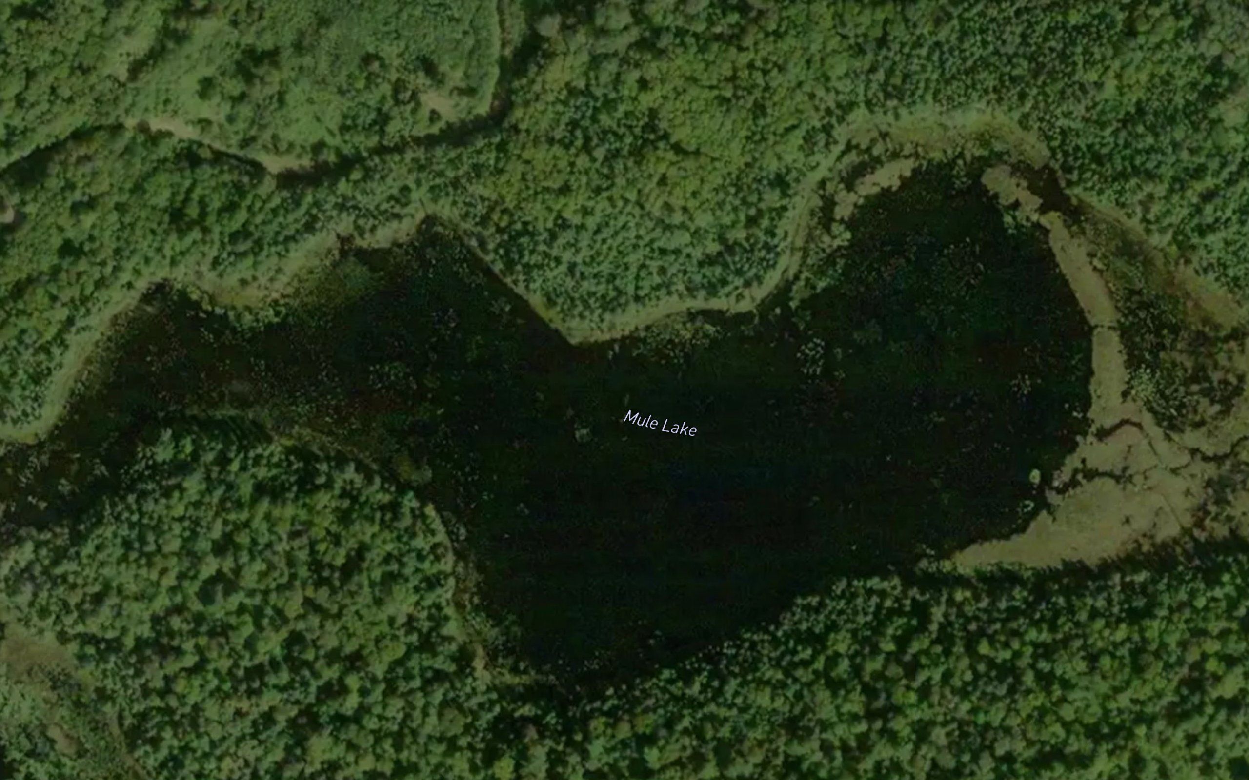 Mule Lake