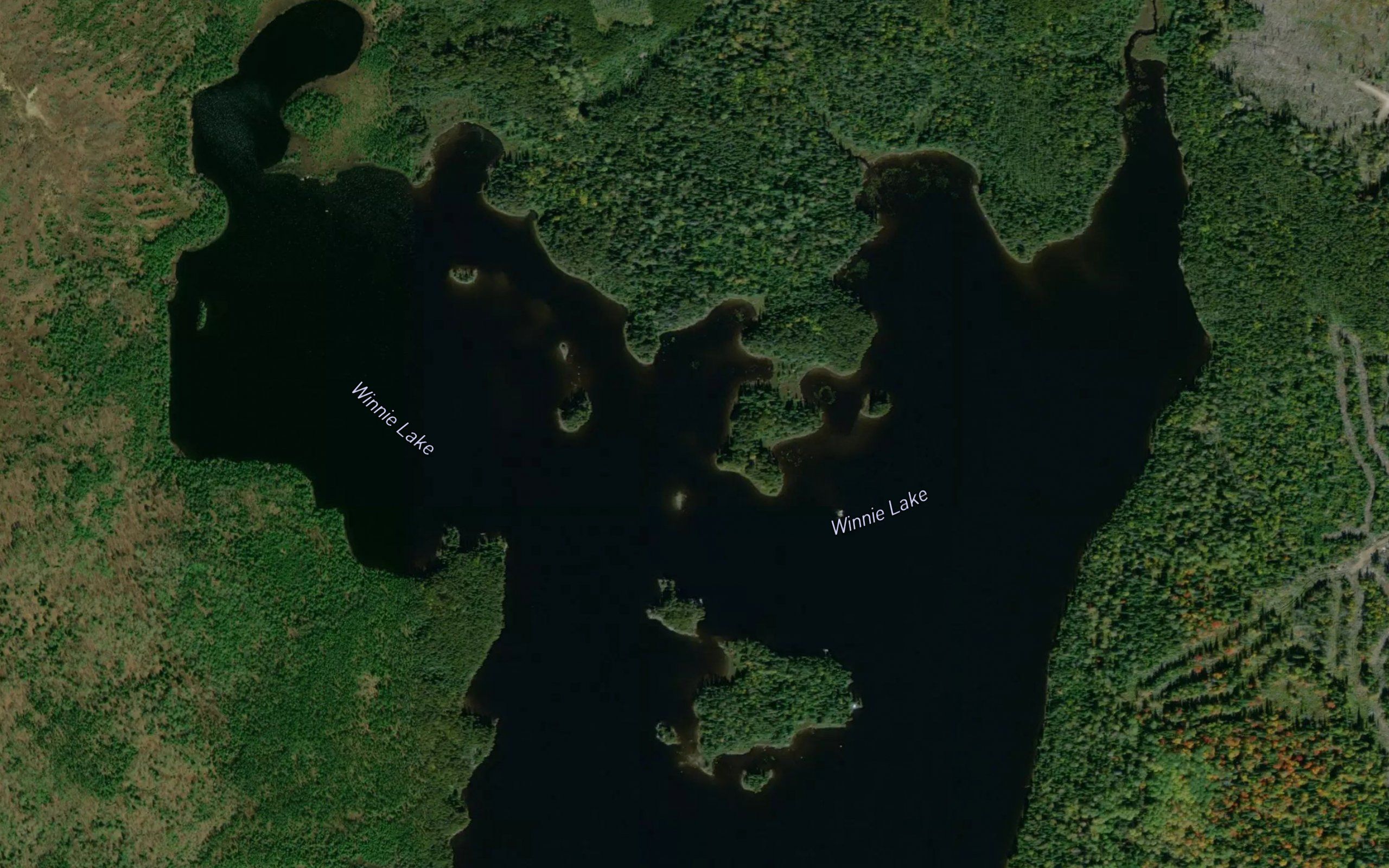 Winnie Lake