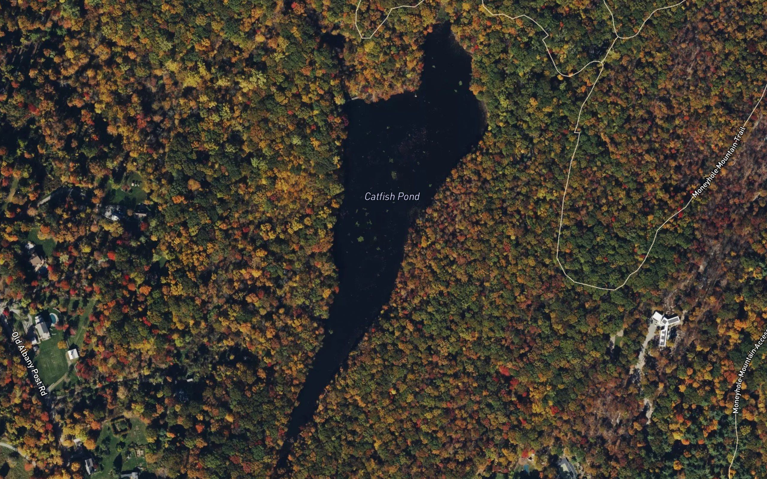 Catfish Pond