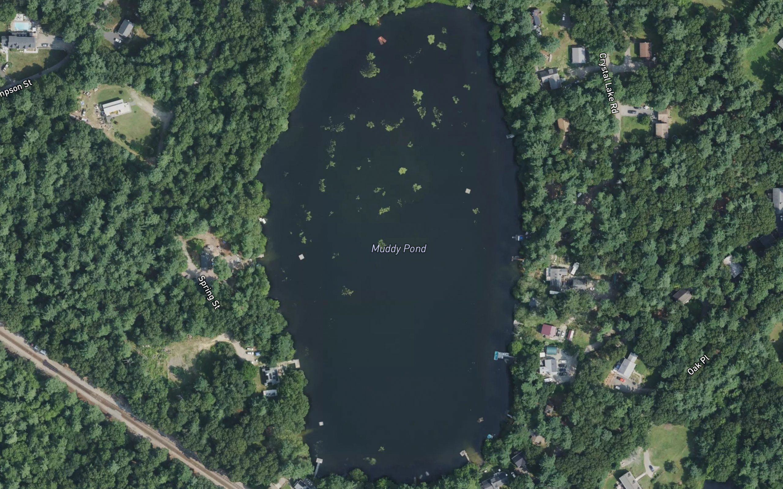 Muddy Pond