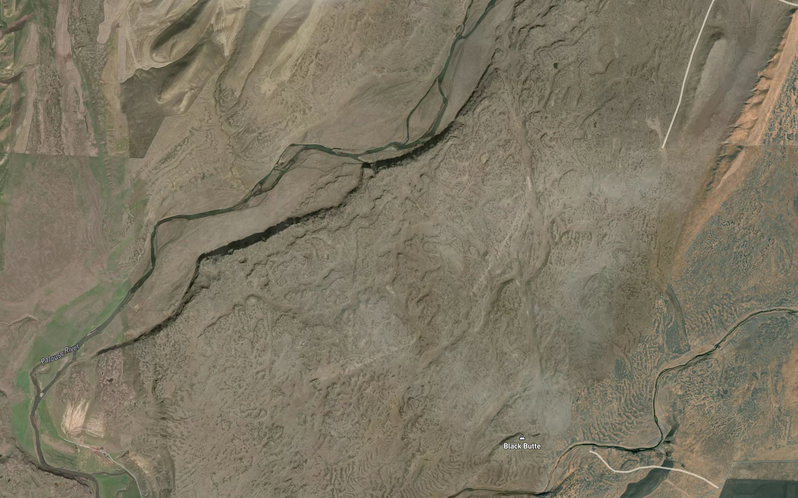 Cougar Canyon