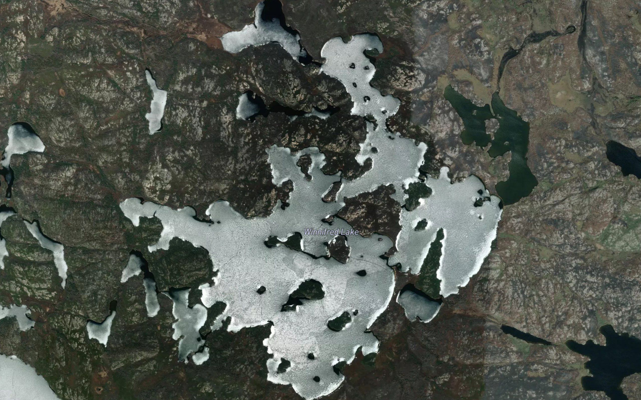 Winnifred Lake