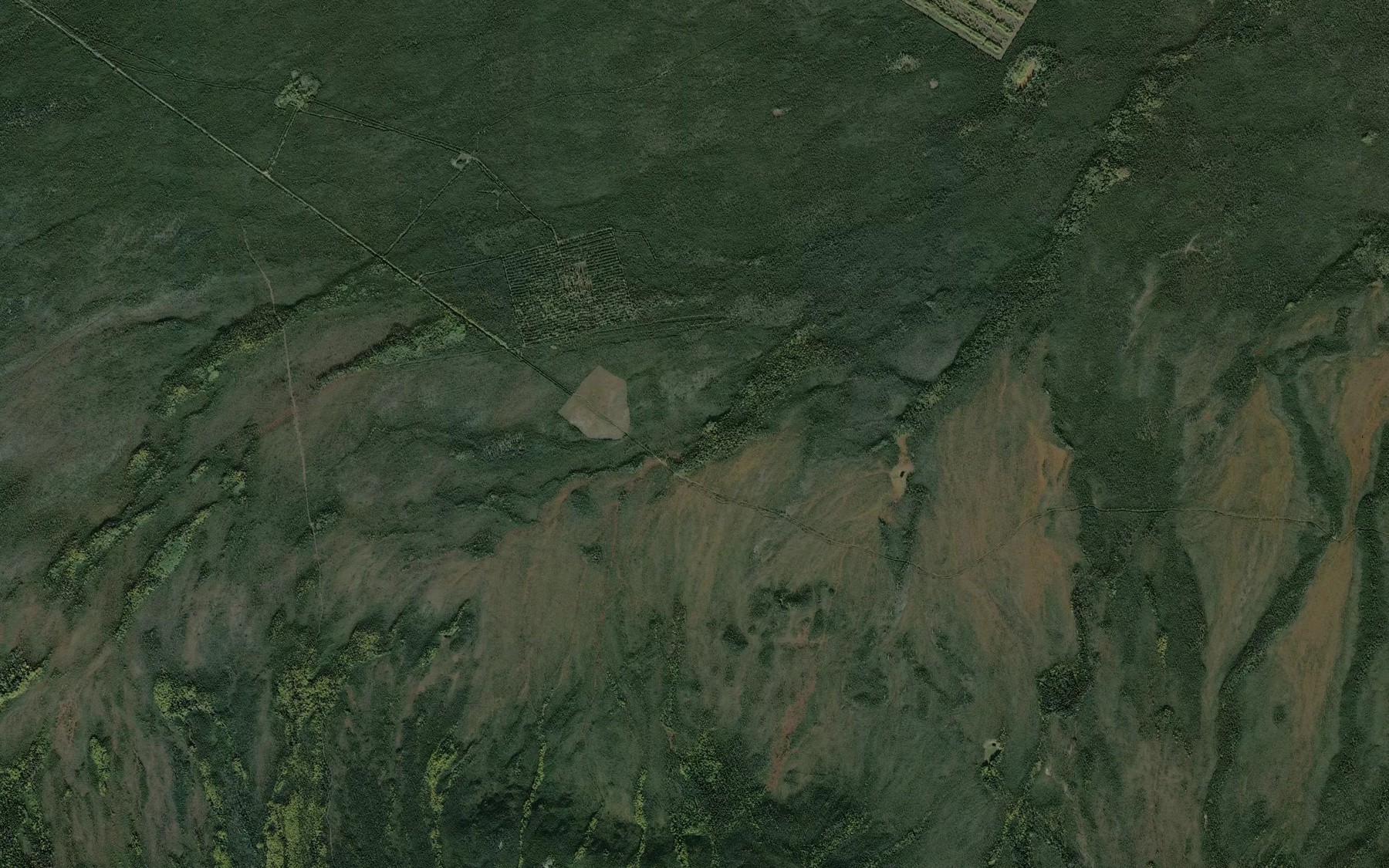 Satellite map of the Cockscomb Creek
