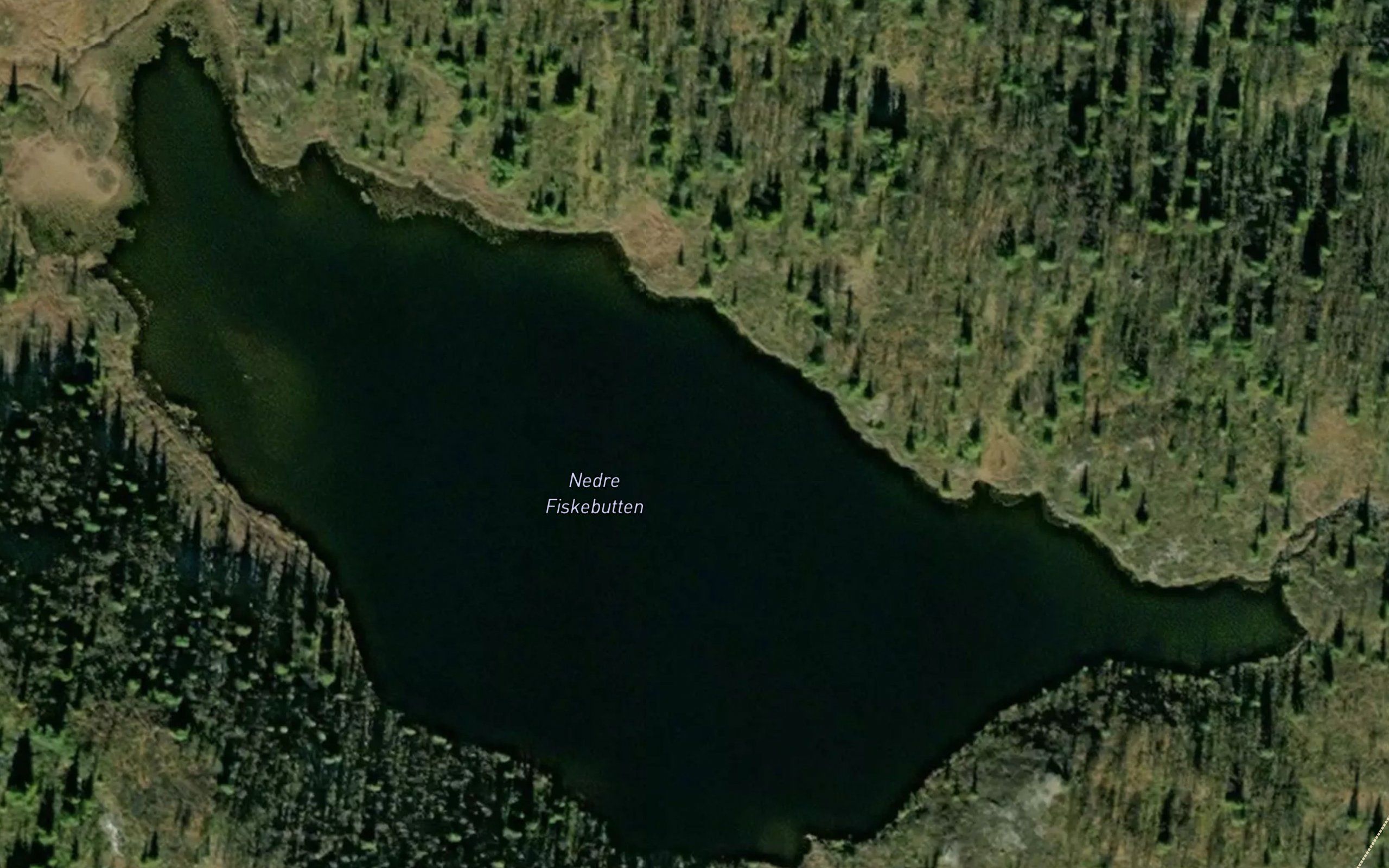Nedre Fiskebutten