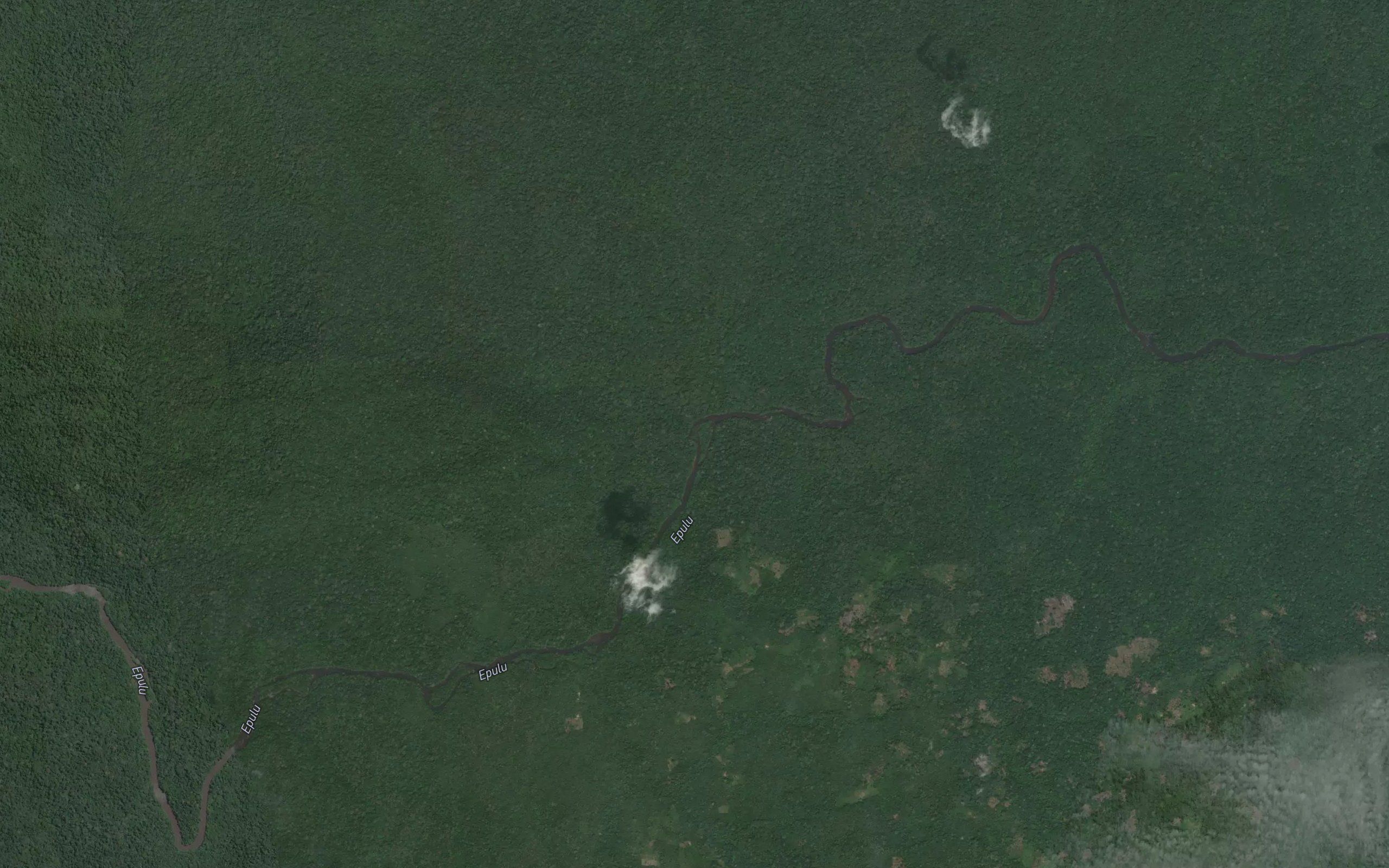 Bokolea