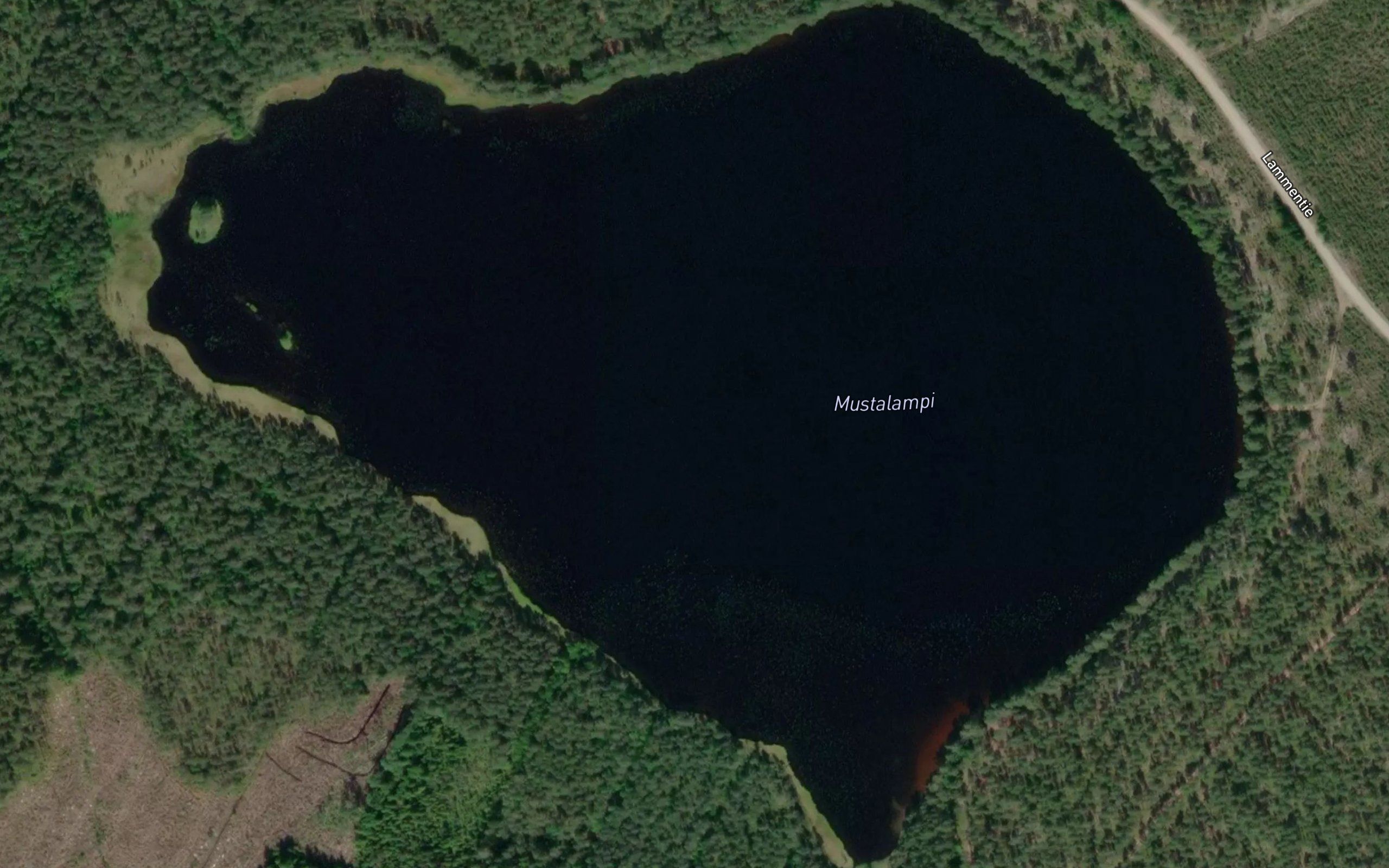 Mustalampi