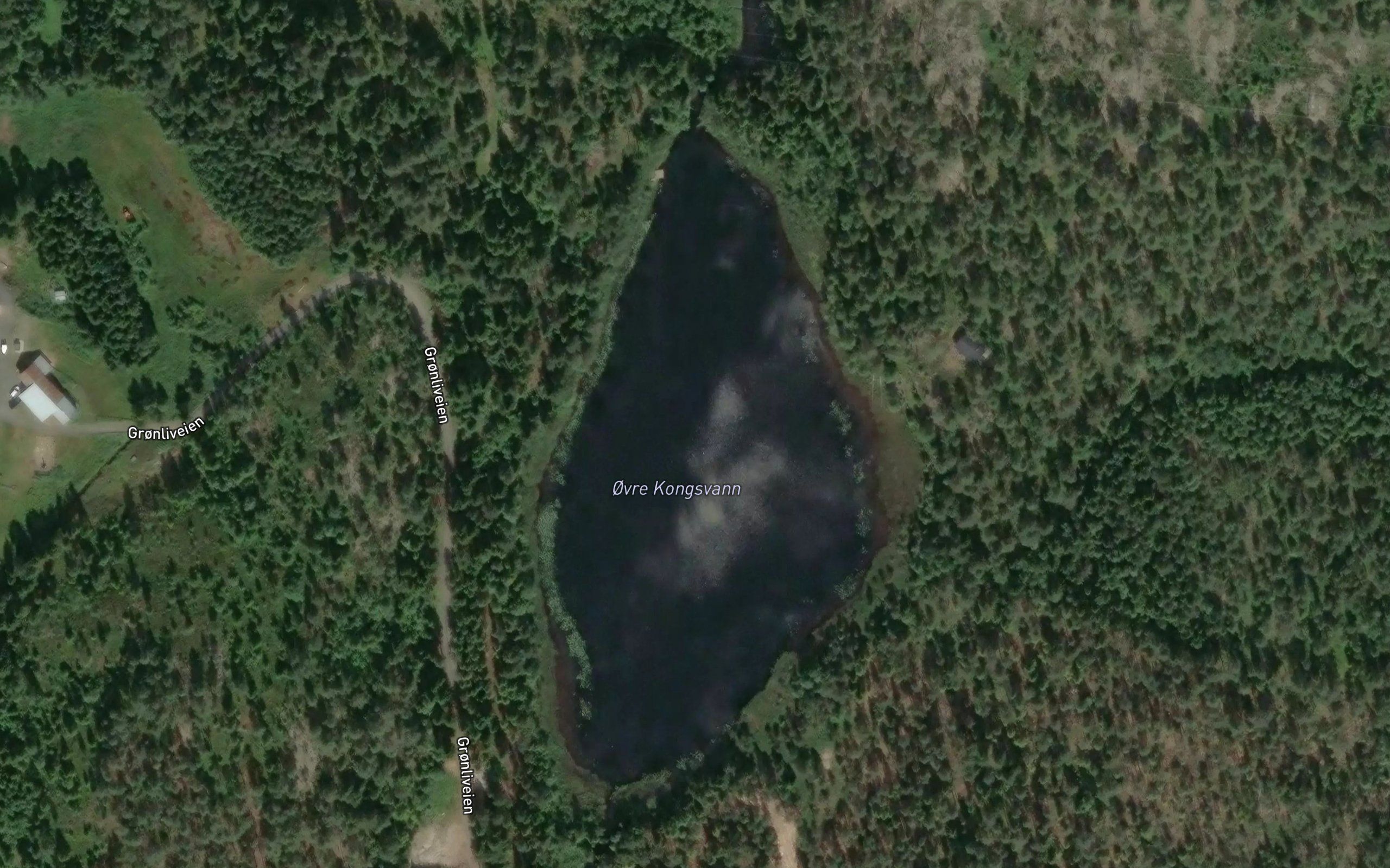 Ovre Kongsvann