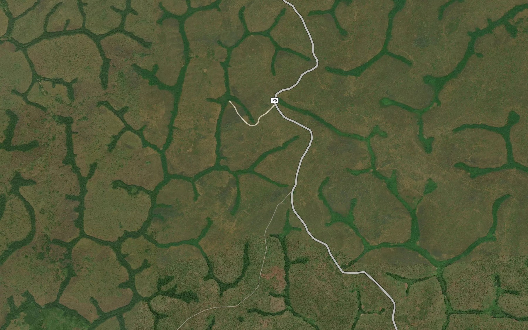 Satellite map of the Bendele