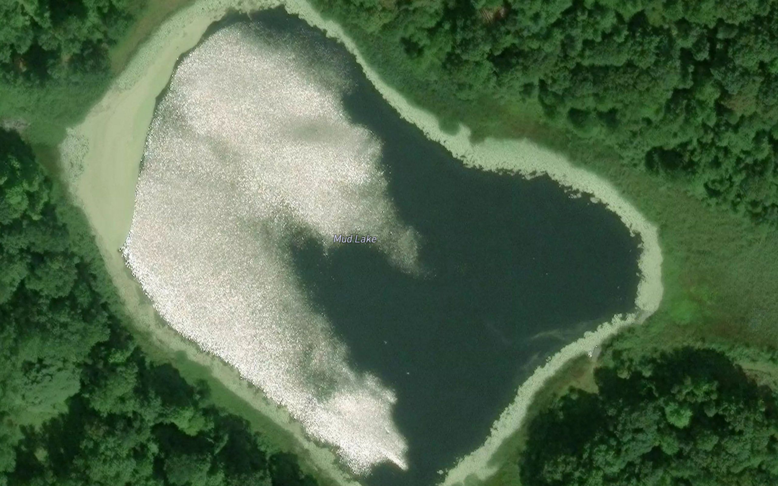 Mud Lake