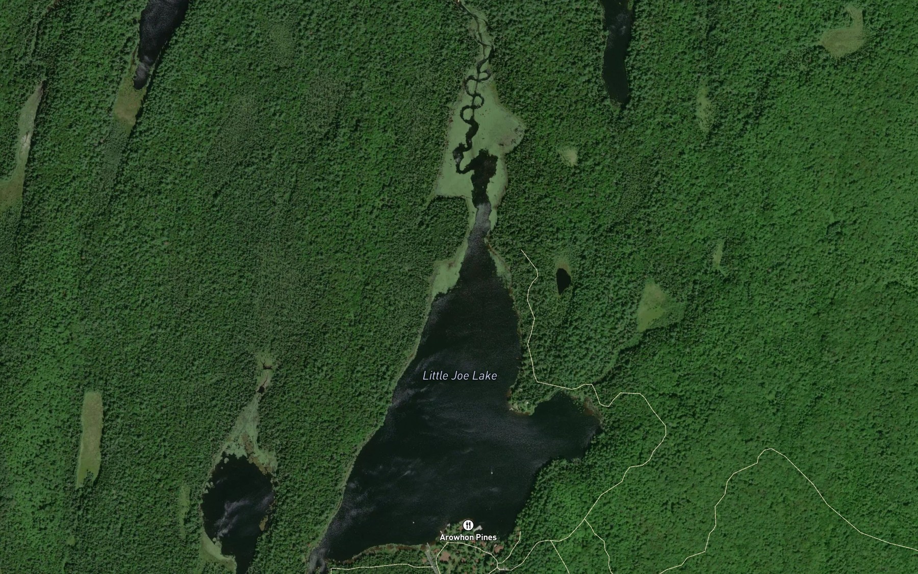 Satellite map of the Little Joe Lake