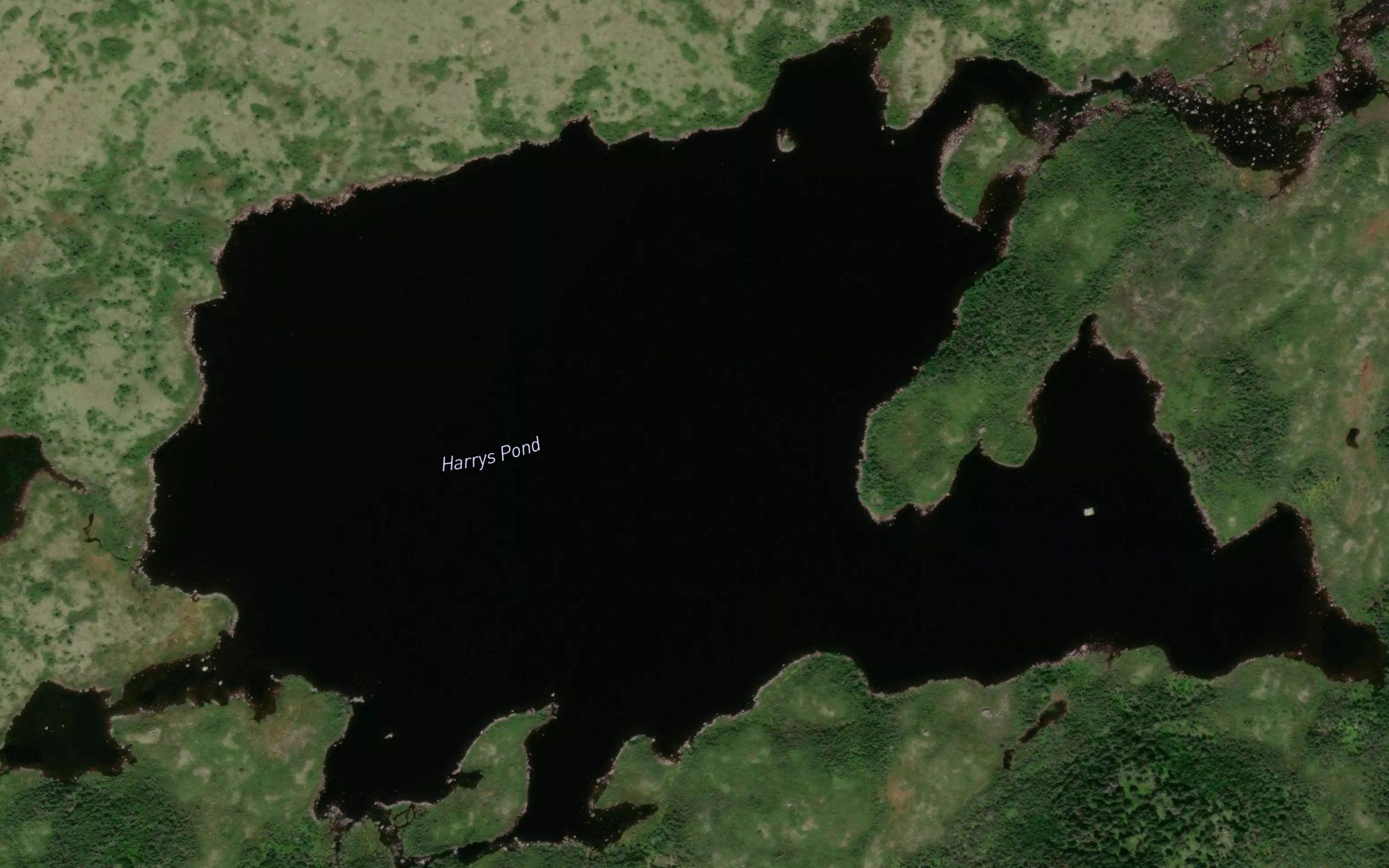 Harrys Pond