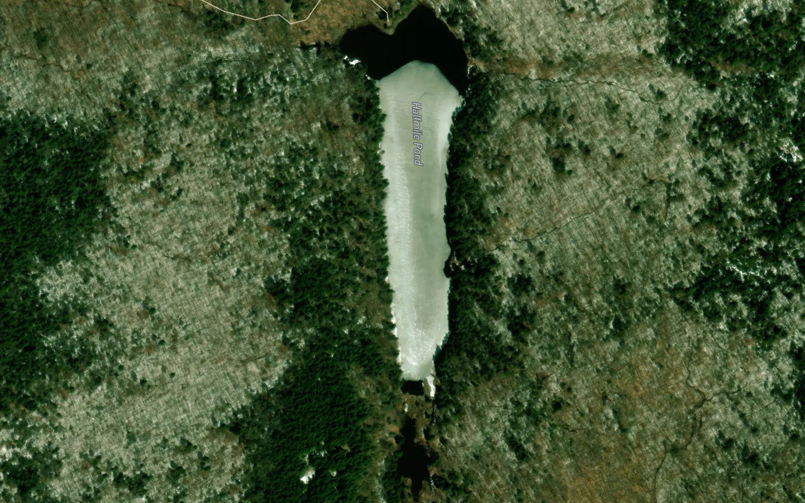 Halfmile Pond