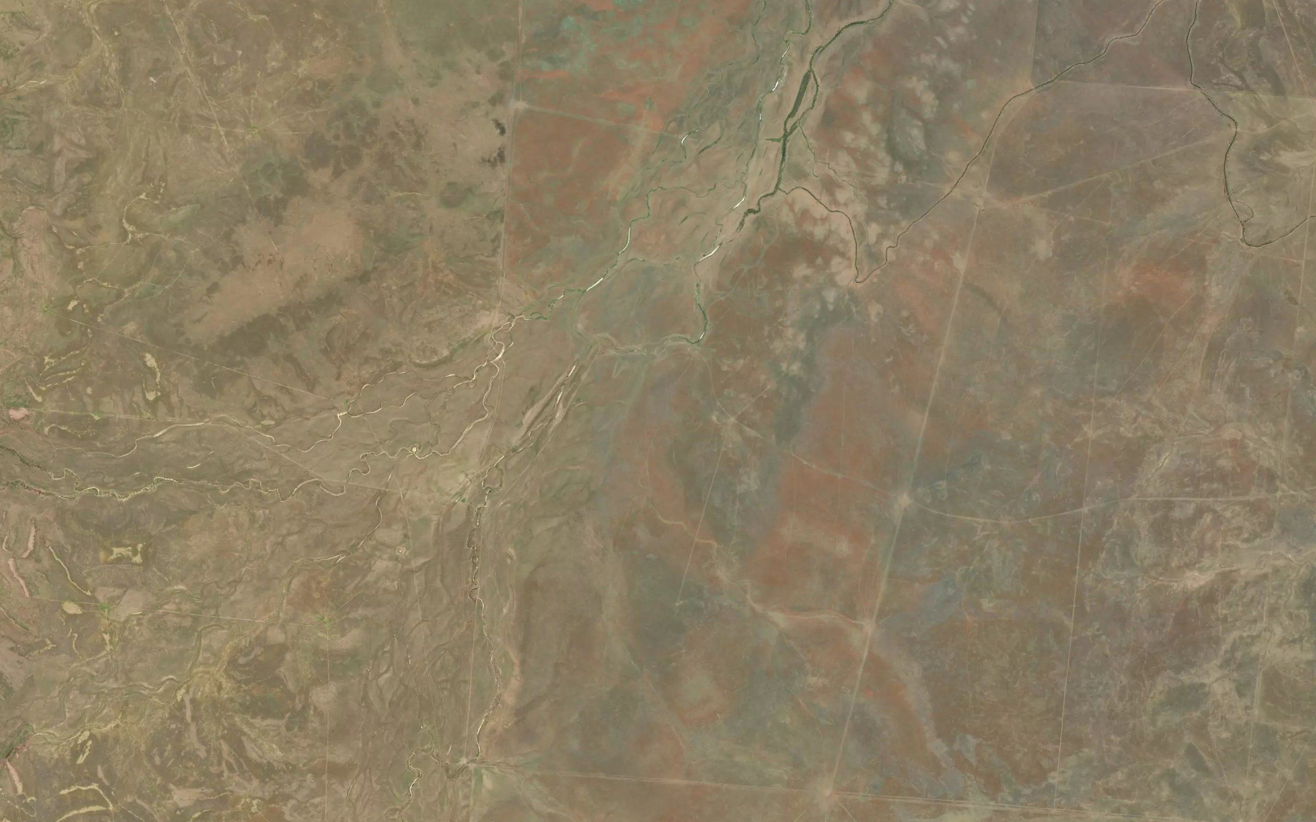 Dingo Creek